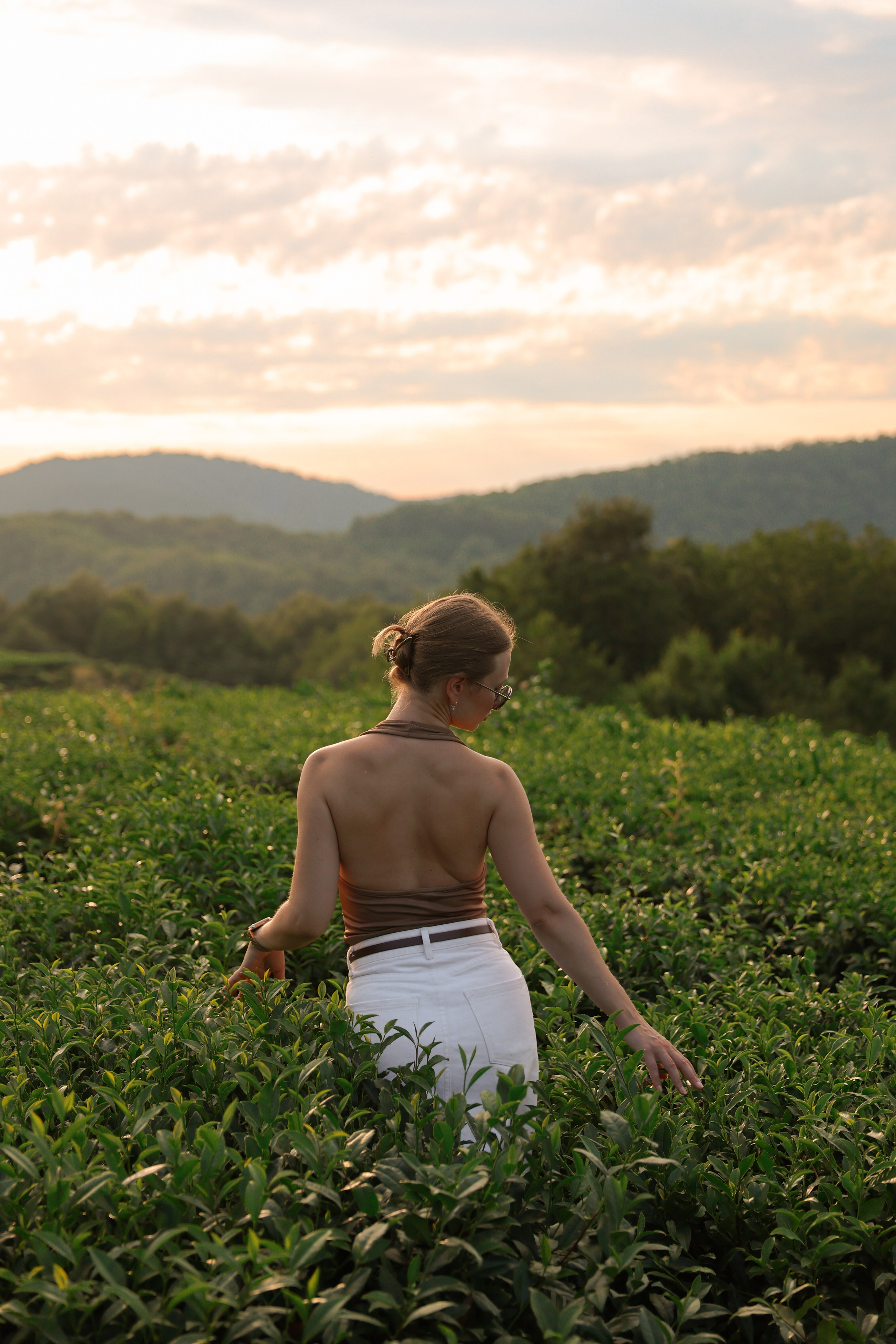 ЧАЙНЫЕ ПЛАНТАЦИИ. Фотограф Москва Оля Олбимак