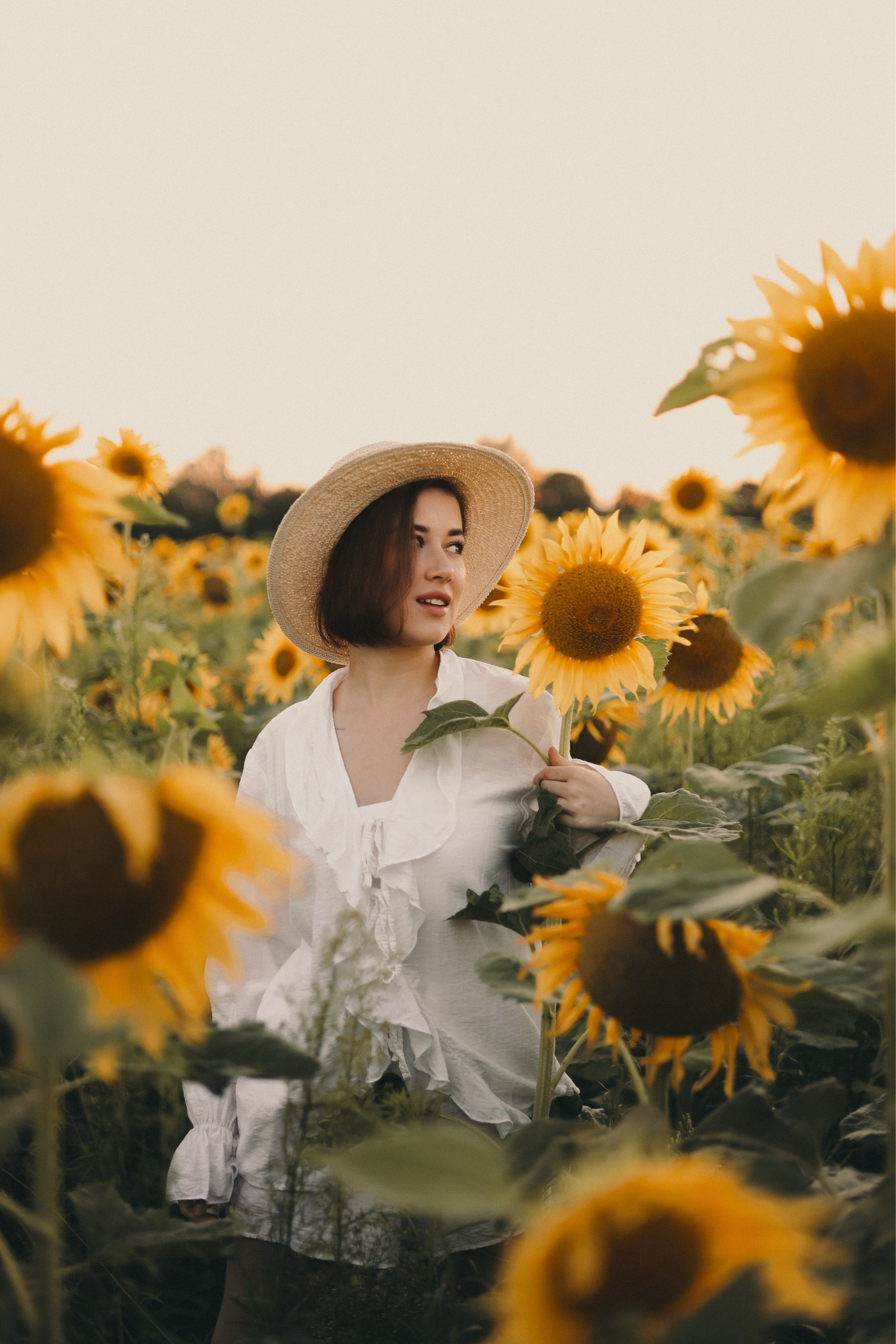 Владислава | Подсолнухи. Фотограф Мария Лаенко