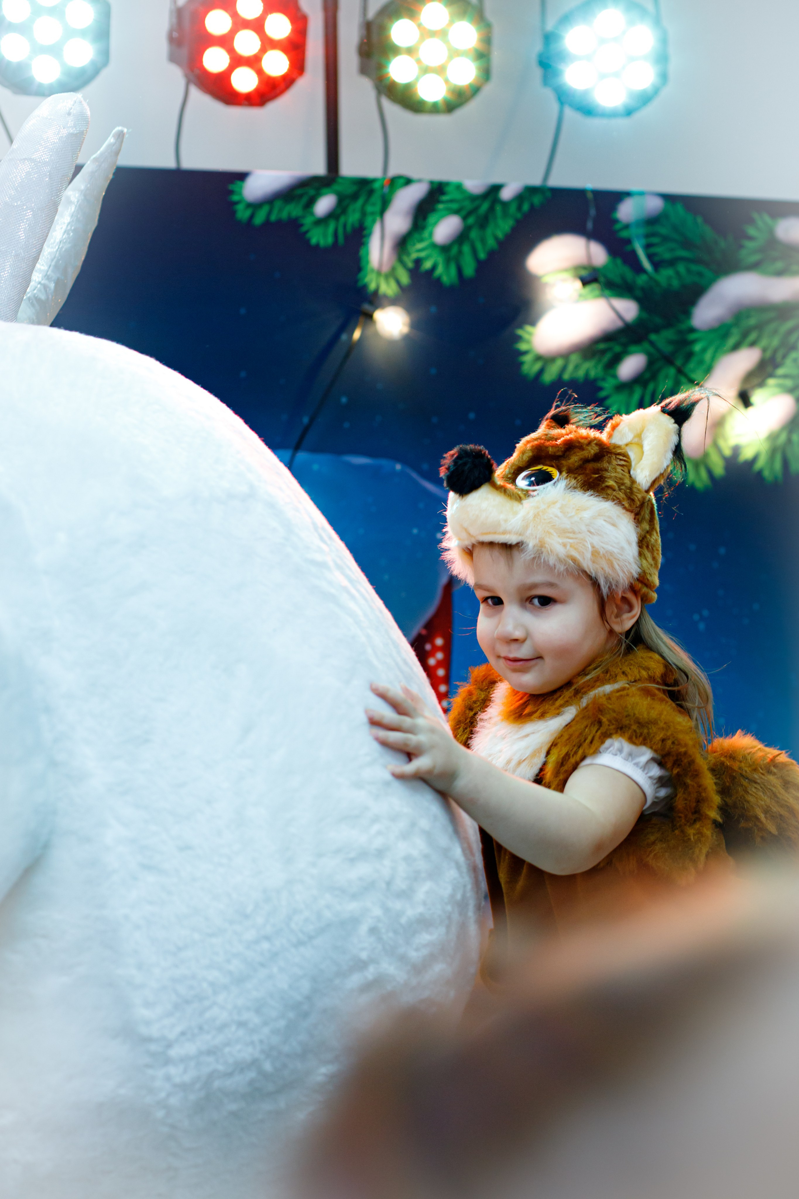 Happy new year. Photokarish