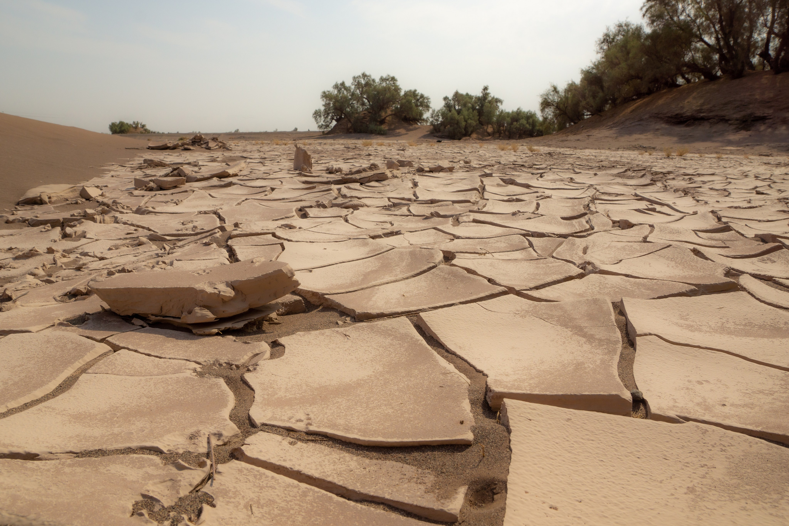 Иран. Фотограф-путешественник Самойлов Максим «Sly Fox»