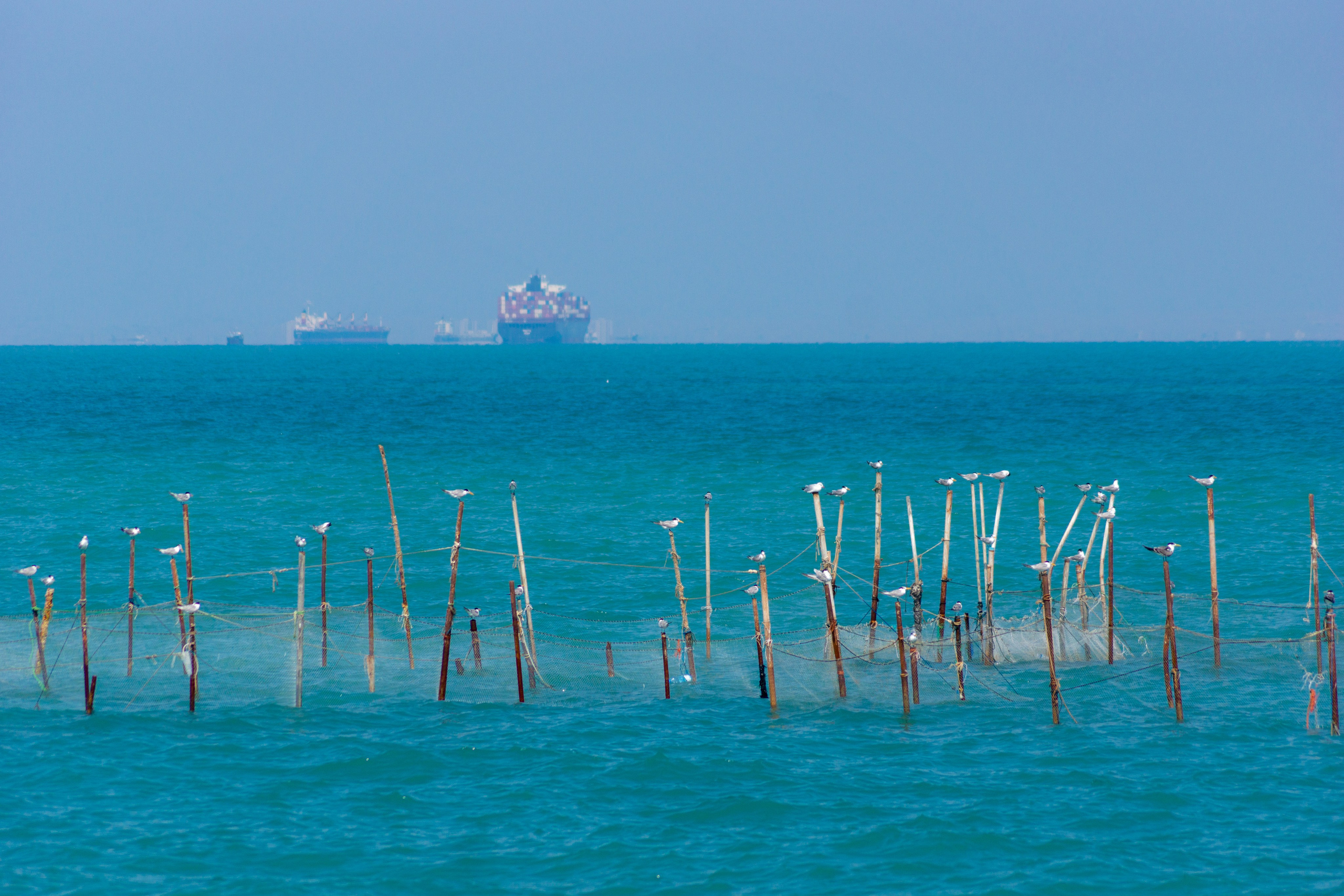 Иран. Фотограф-путешественник Самойлов Максим «Sly Fox»