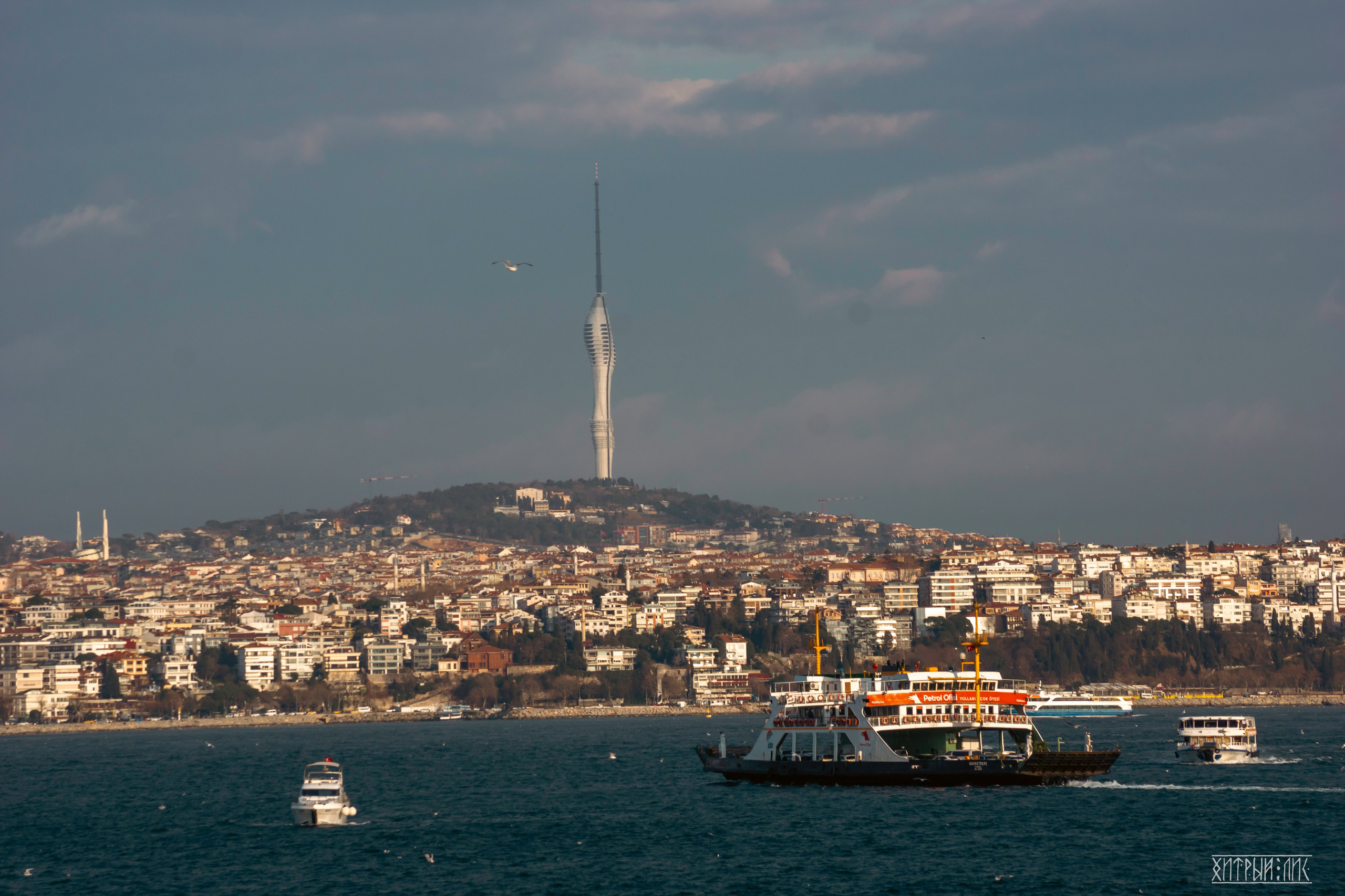 Стамбул. Фотограф-путешественник Самойлов Максим «Sly Fox»