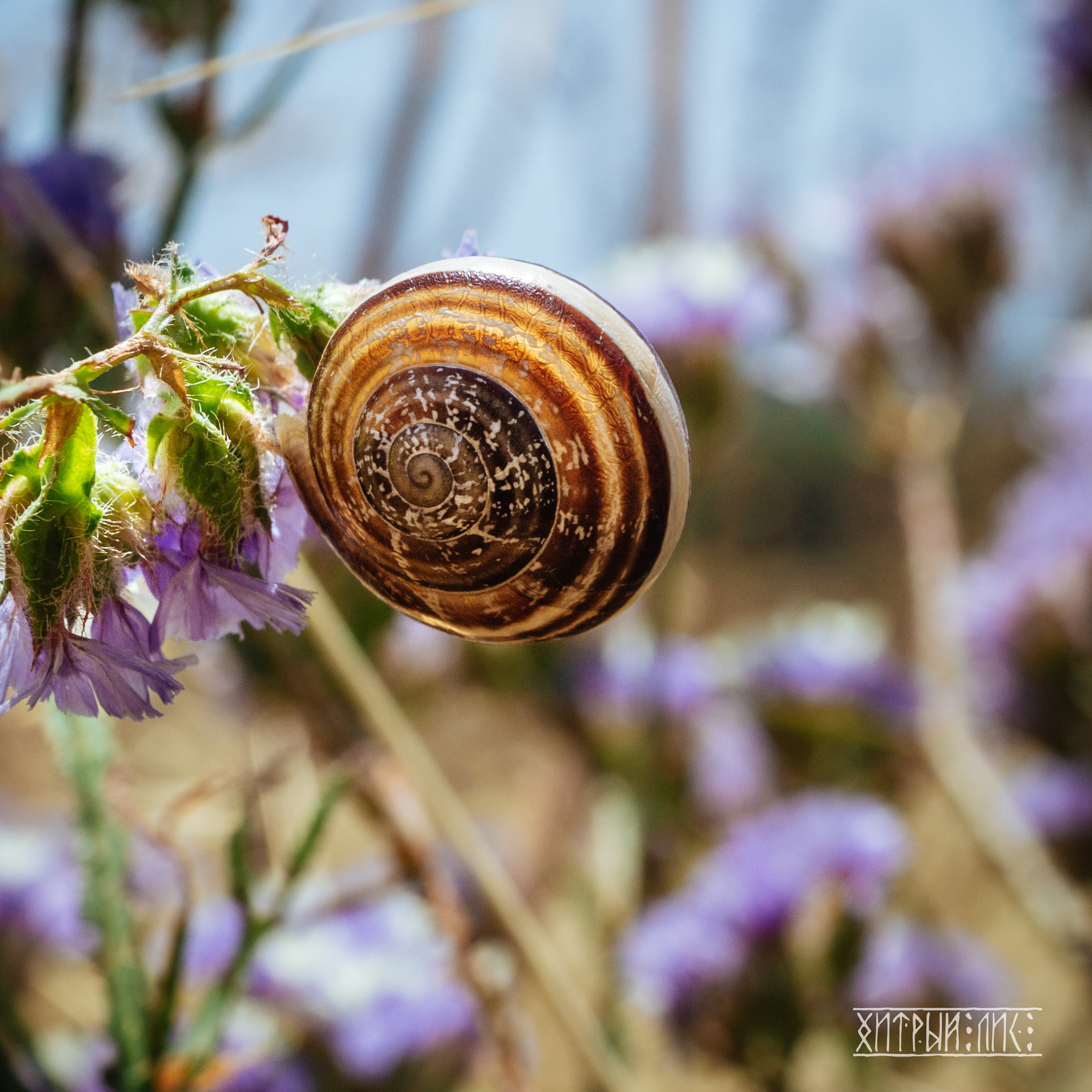 Кипр. Фотограф-путешественник Самойлов Максим «Sly Fox»