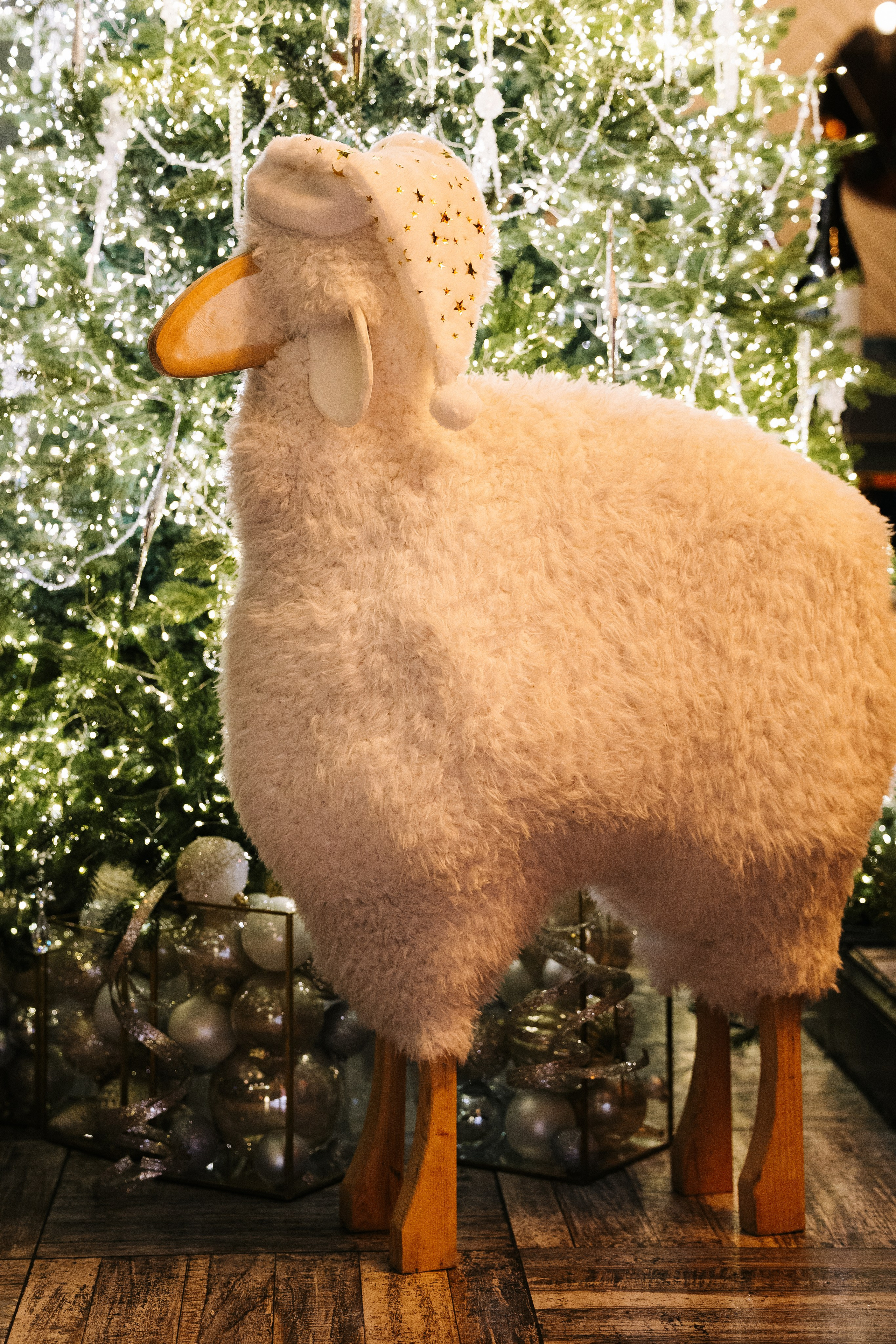 БАРАН РАПАН | РОЖДЕСТВЕНСКИЙ ВЕЧЕР. Фотограф в Сочи Екатерина Потапова