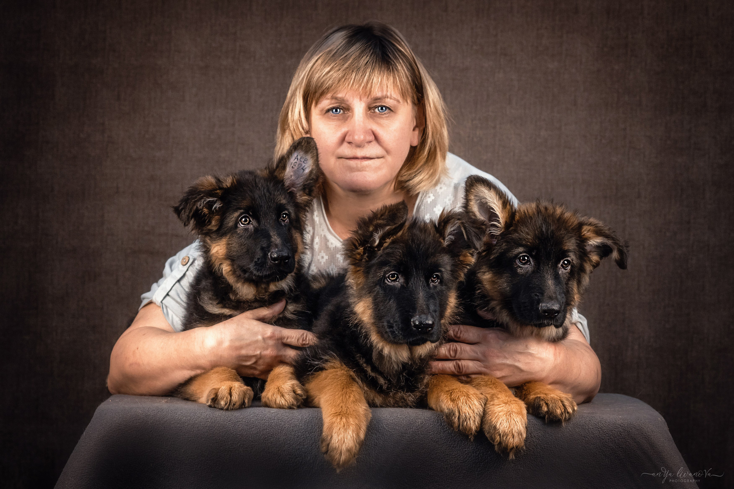 Овчарята. Фотограф анималист Аня Ливанова | Рыбинск