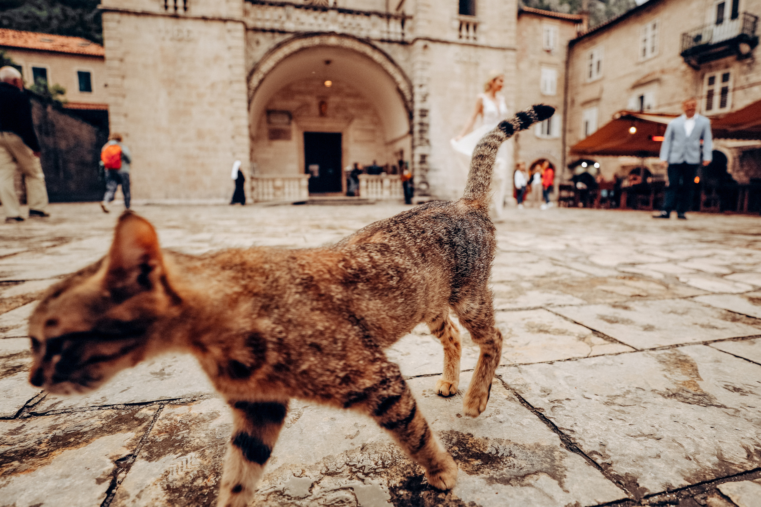 Вероника и Анатолий, Черногория / Montenegro / Kotor. Свадебный фотограф в России, Черногории и в Европе Надежда Никитина
