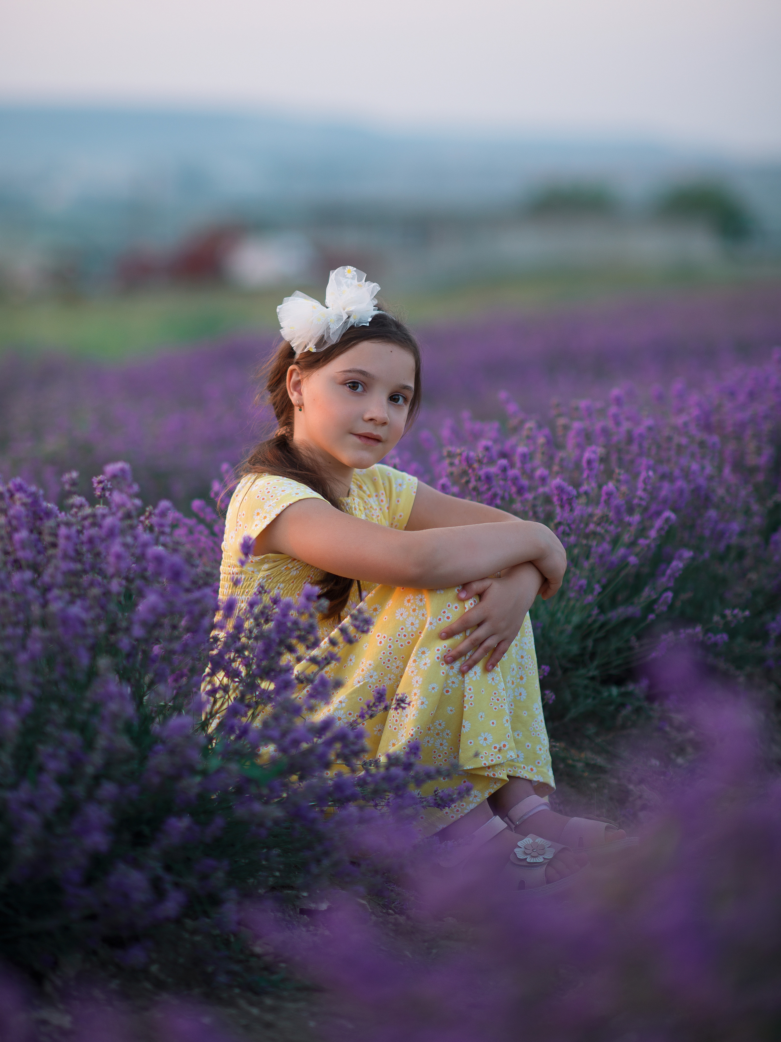 Лавандовое поле в Крыму - закатные и утренние фотосессии. Фотограф в Севастополе Погребняк Александра. Уточнить, зарезервировать дату для фотосъемки +79788481042