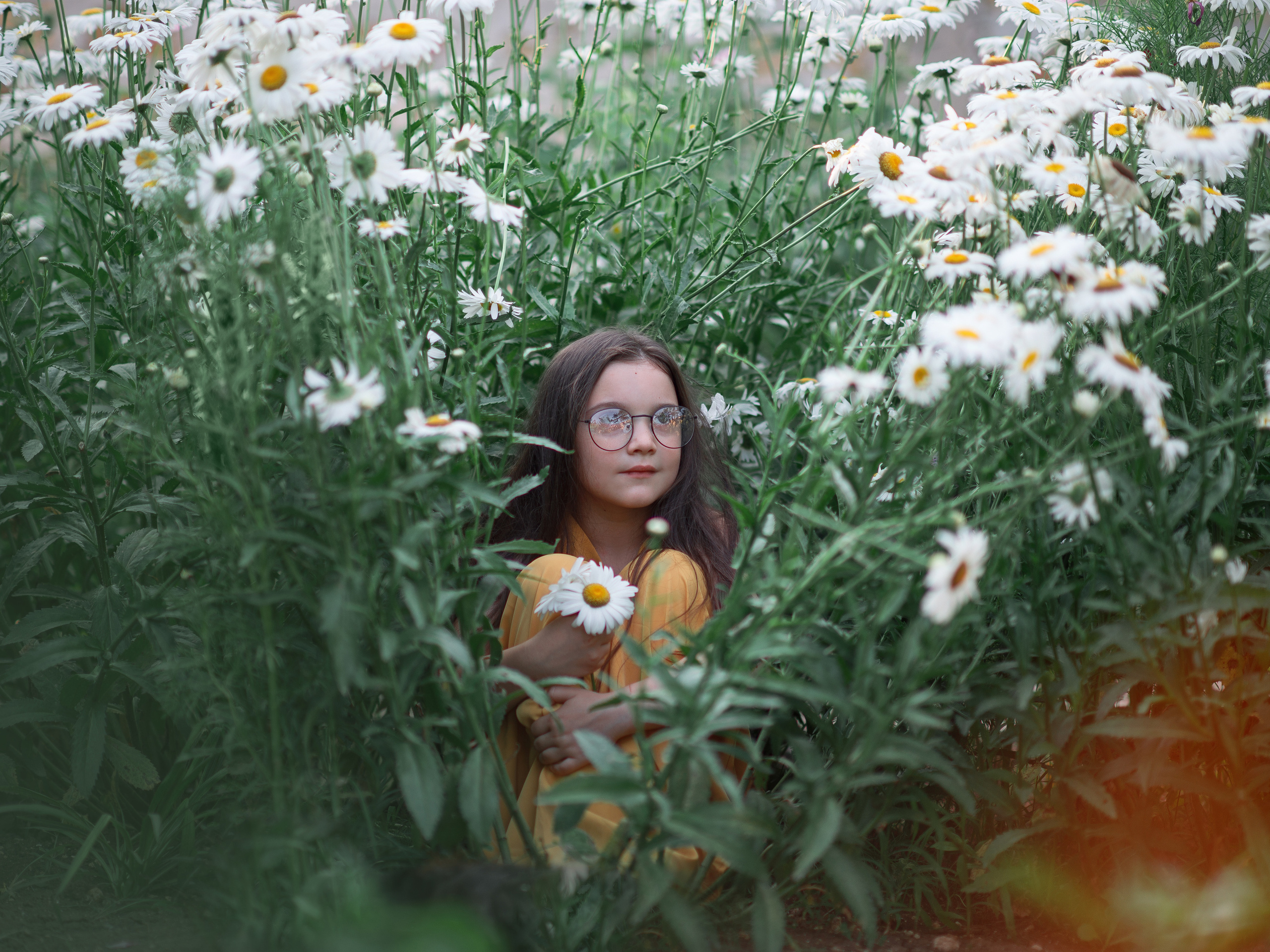 Фотосессия в ромашковом поле в Севастополе. Фотограф в Севастополе Погребняк Александра. Уточнить, зарезервировать дату для фотосъемки +79788481042