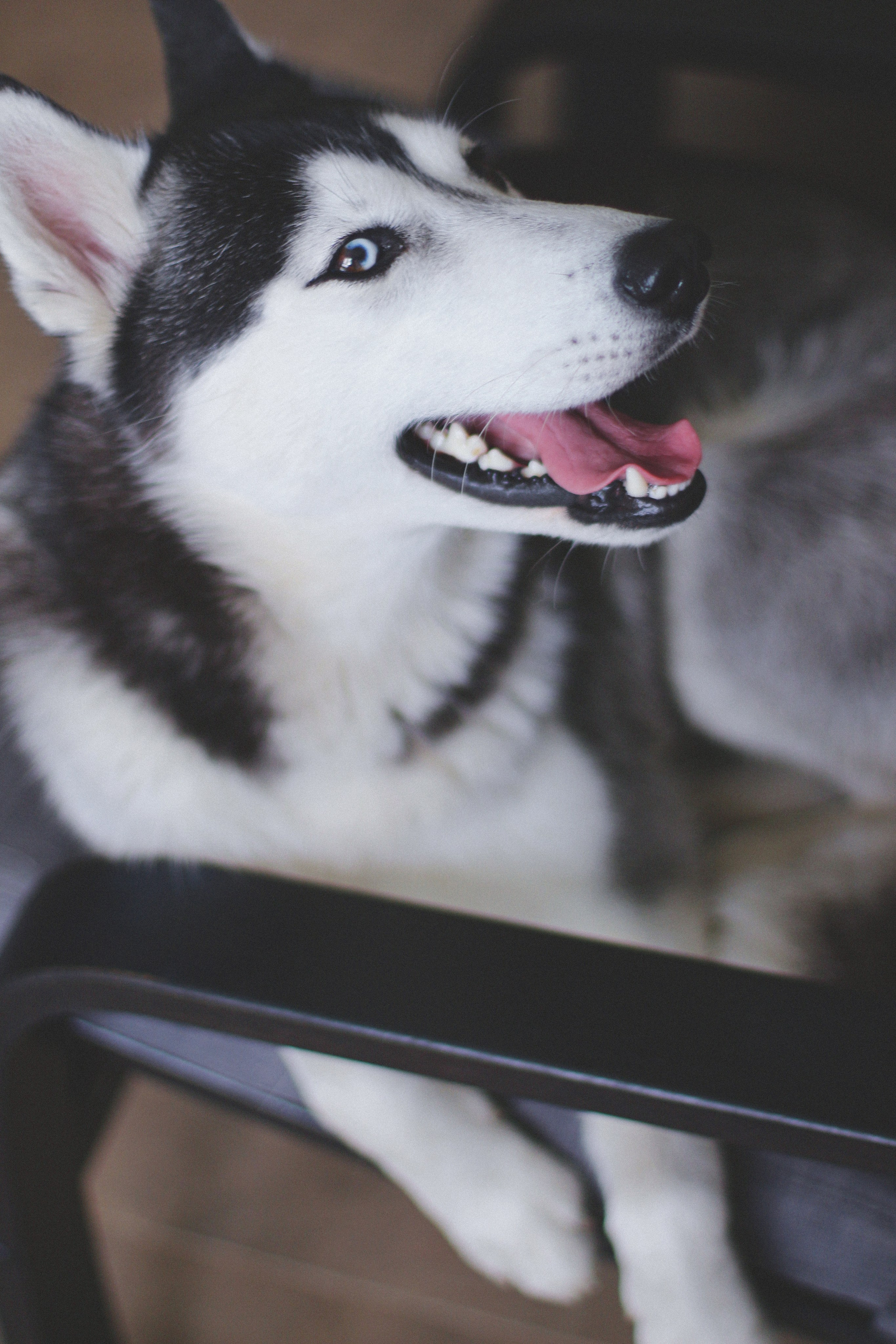 Марта. Фотограф Адигамова Юлия в Петербурге