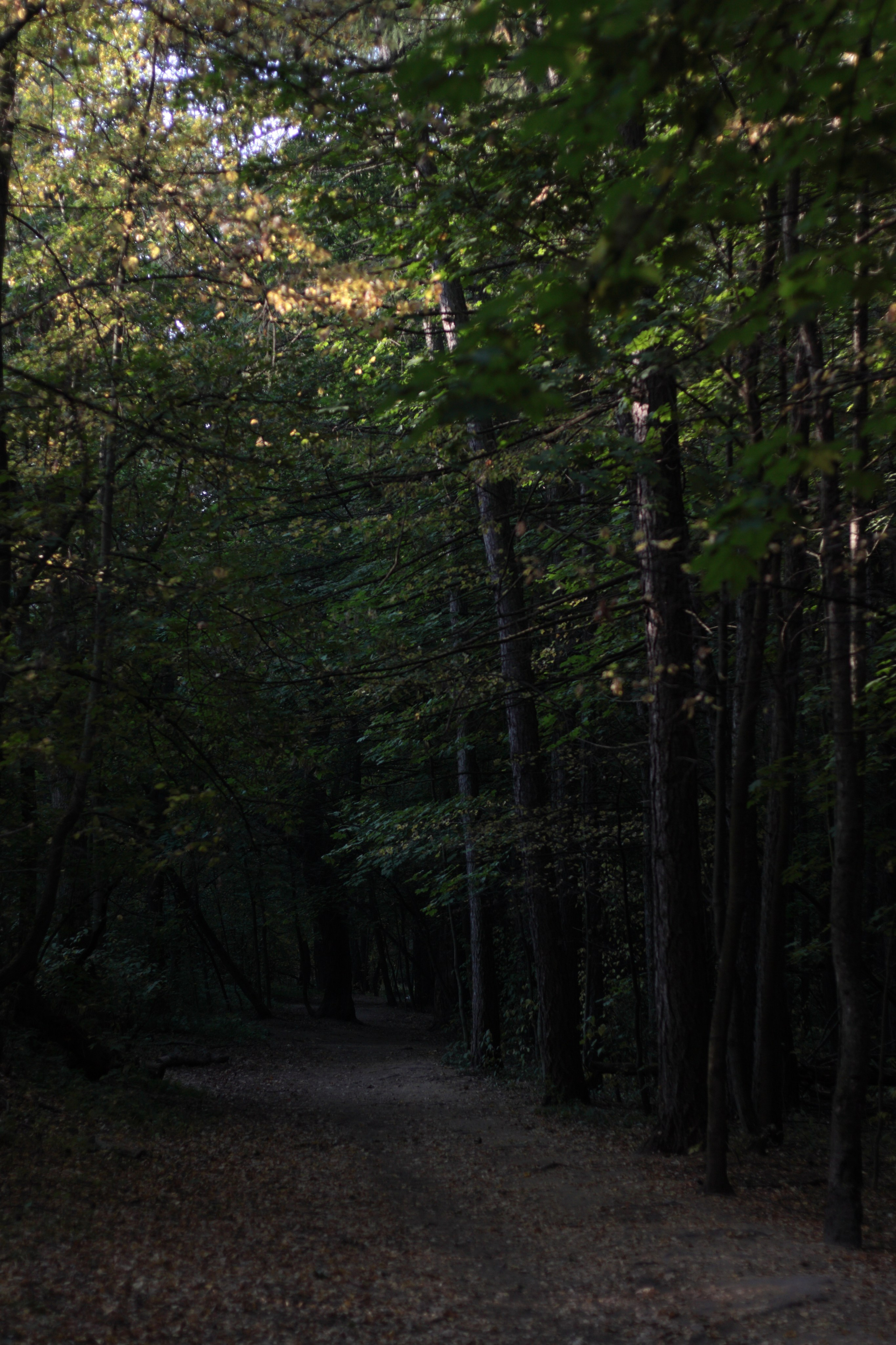 Старое природное, отбирала Katamount (Катерина Горохова). Главная