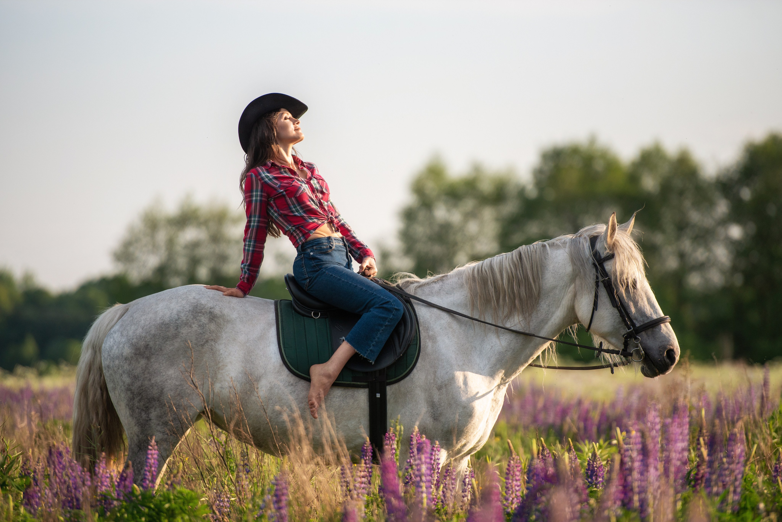 Индивидуальные. Фотограф с лошадьми в Калининграде Татьяна Ларина