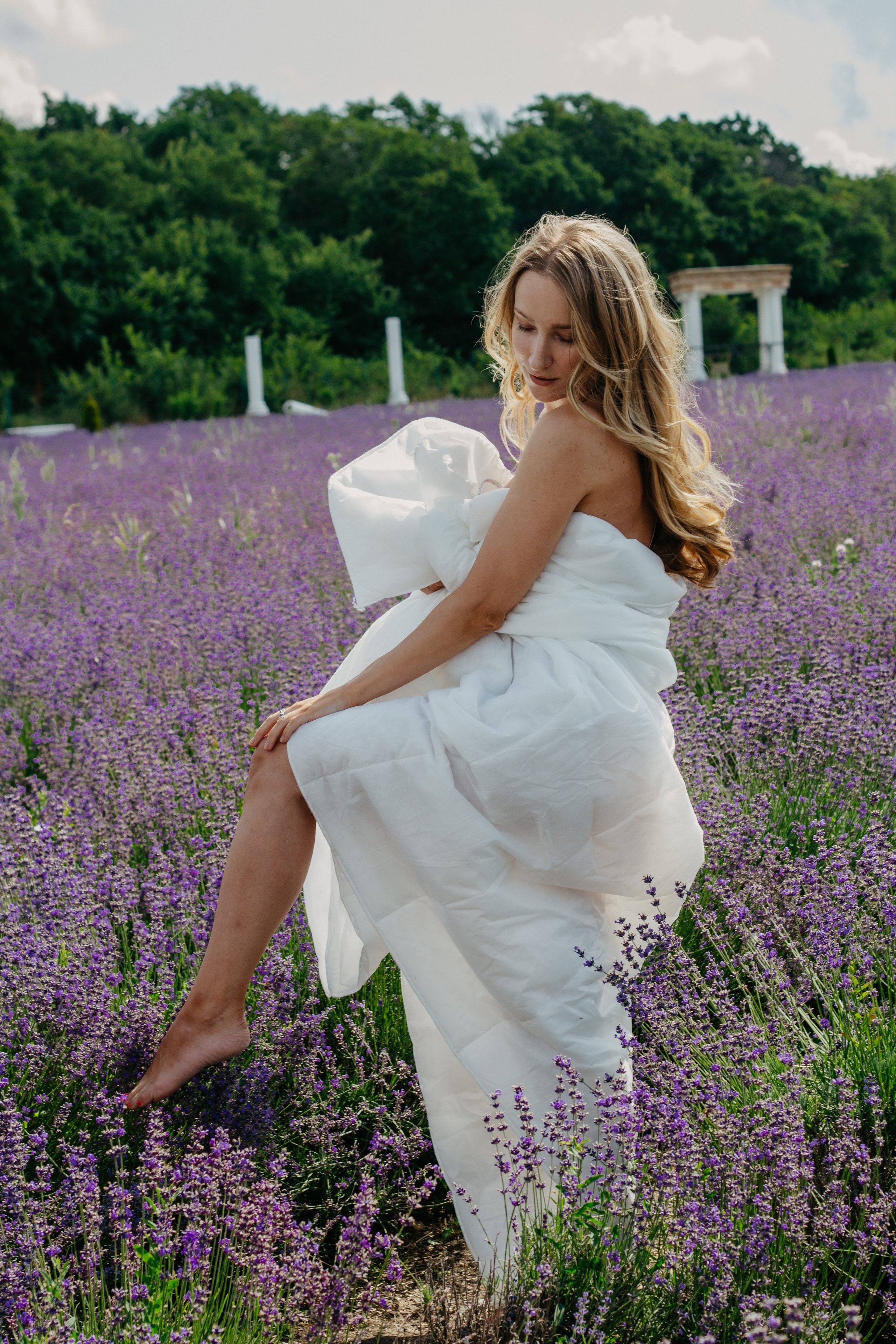 Лаванда. Главная