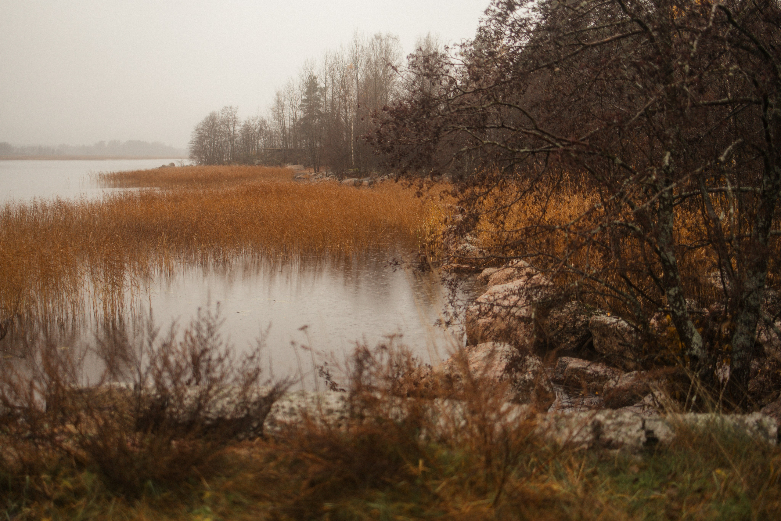 Лена, Глеб, Ральф и Рэй. Фотограф в Выборге и Санкт-Петербурге Маша Гуляева