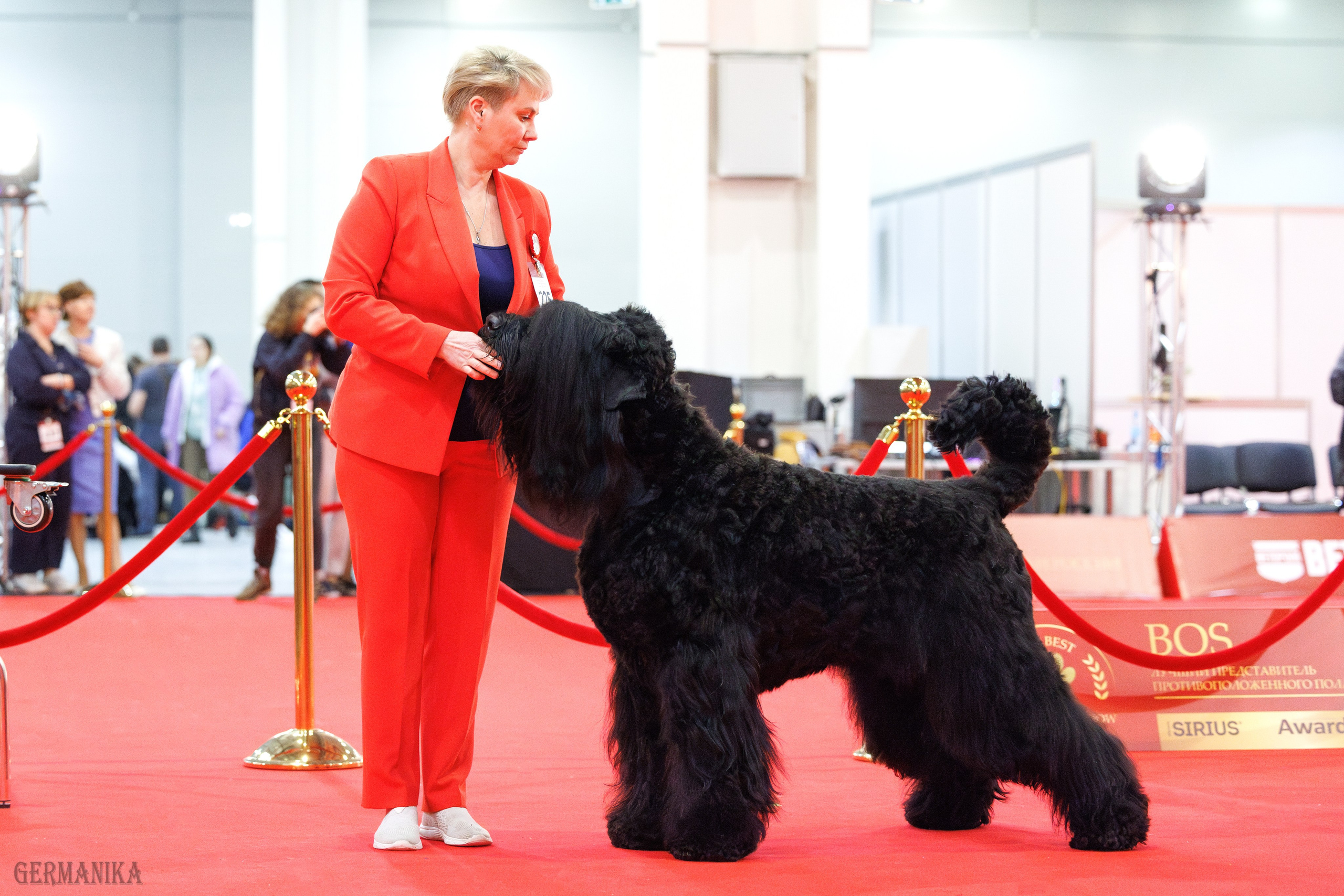 Лучшие Собаки России 17-18.02.2024. Фотограф-анималист Юлия Германика