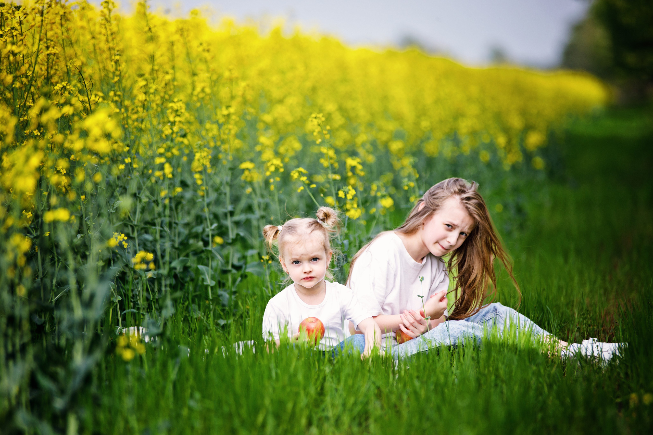 Семейные. Ваш домашний Видеограф