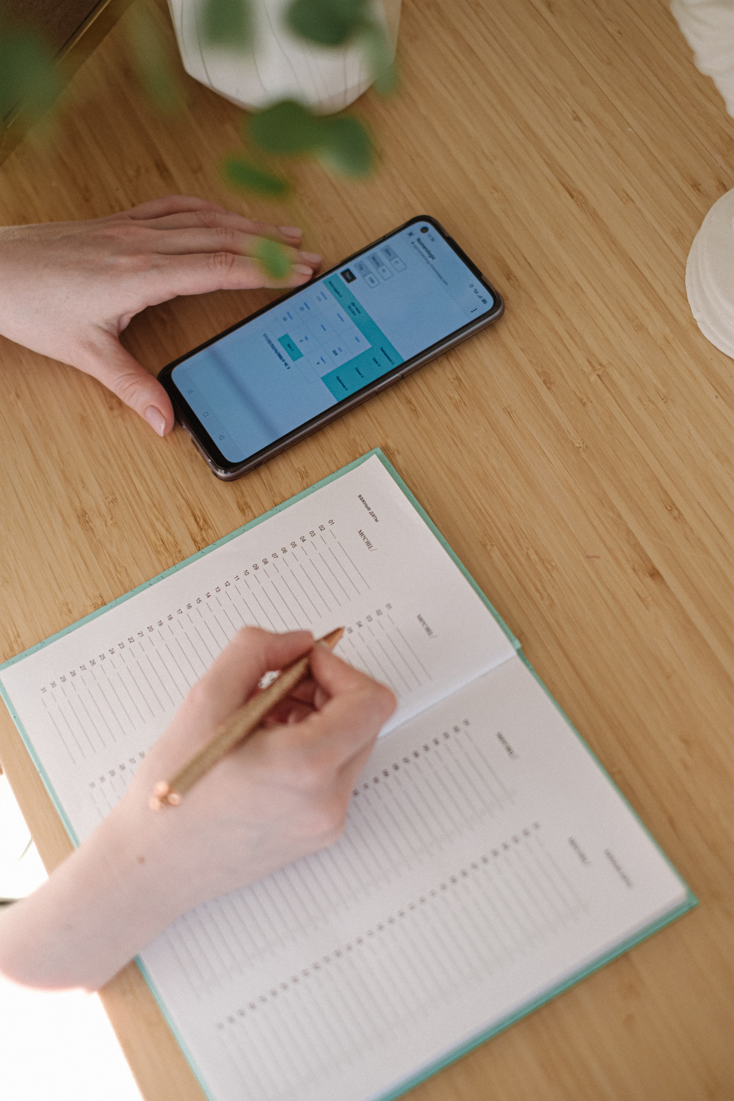 Фотоконтент нумеролога. Свадебный и семейный фотограф в Санкт-Петербурге Светлана Лантратова