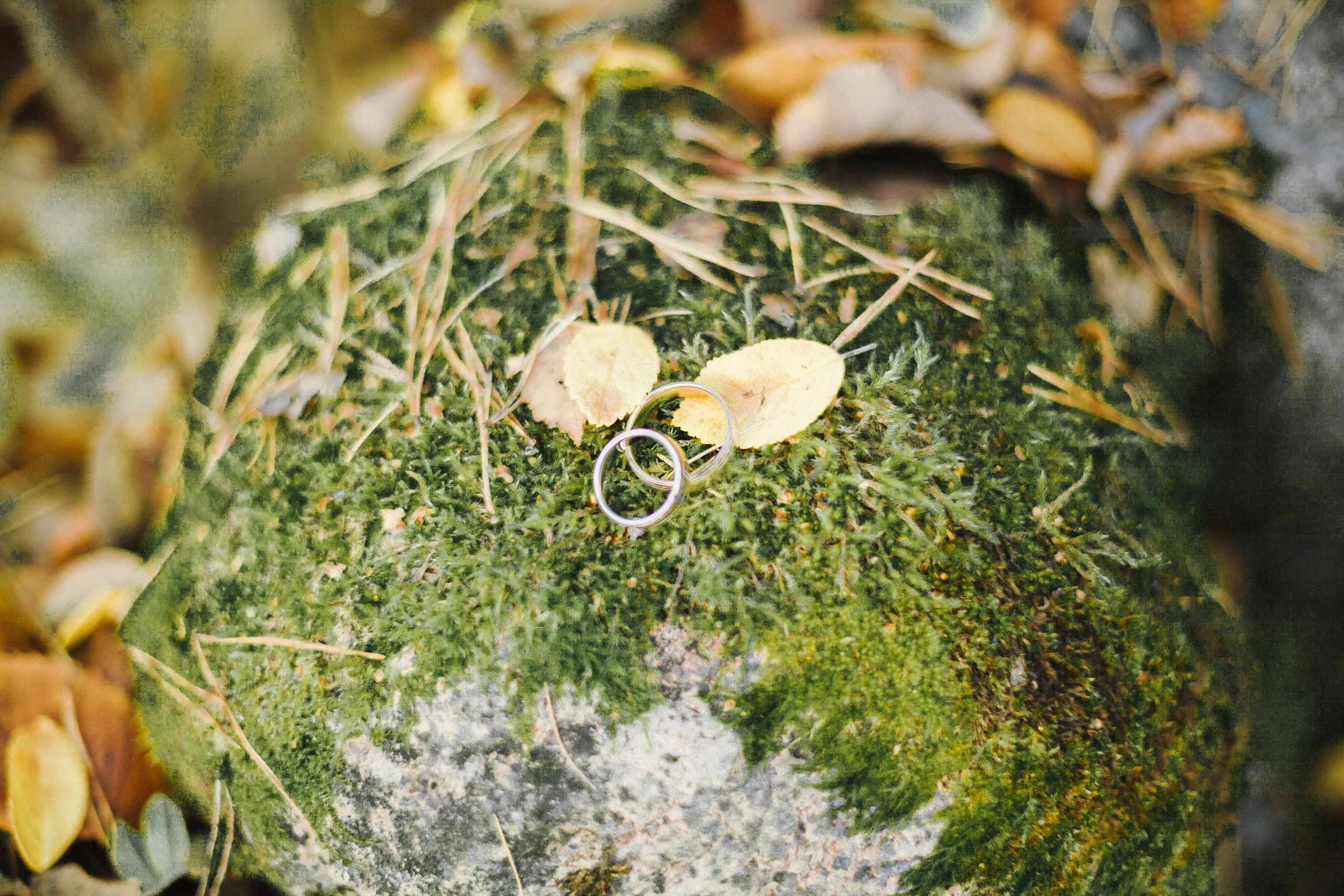 Море, небо, облака…. Свадебный и семейный фотограф в Санкт-Петербурге Светлана Лантратова