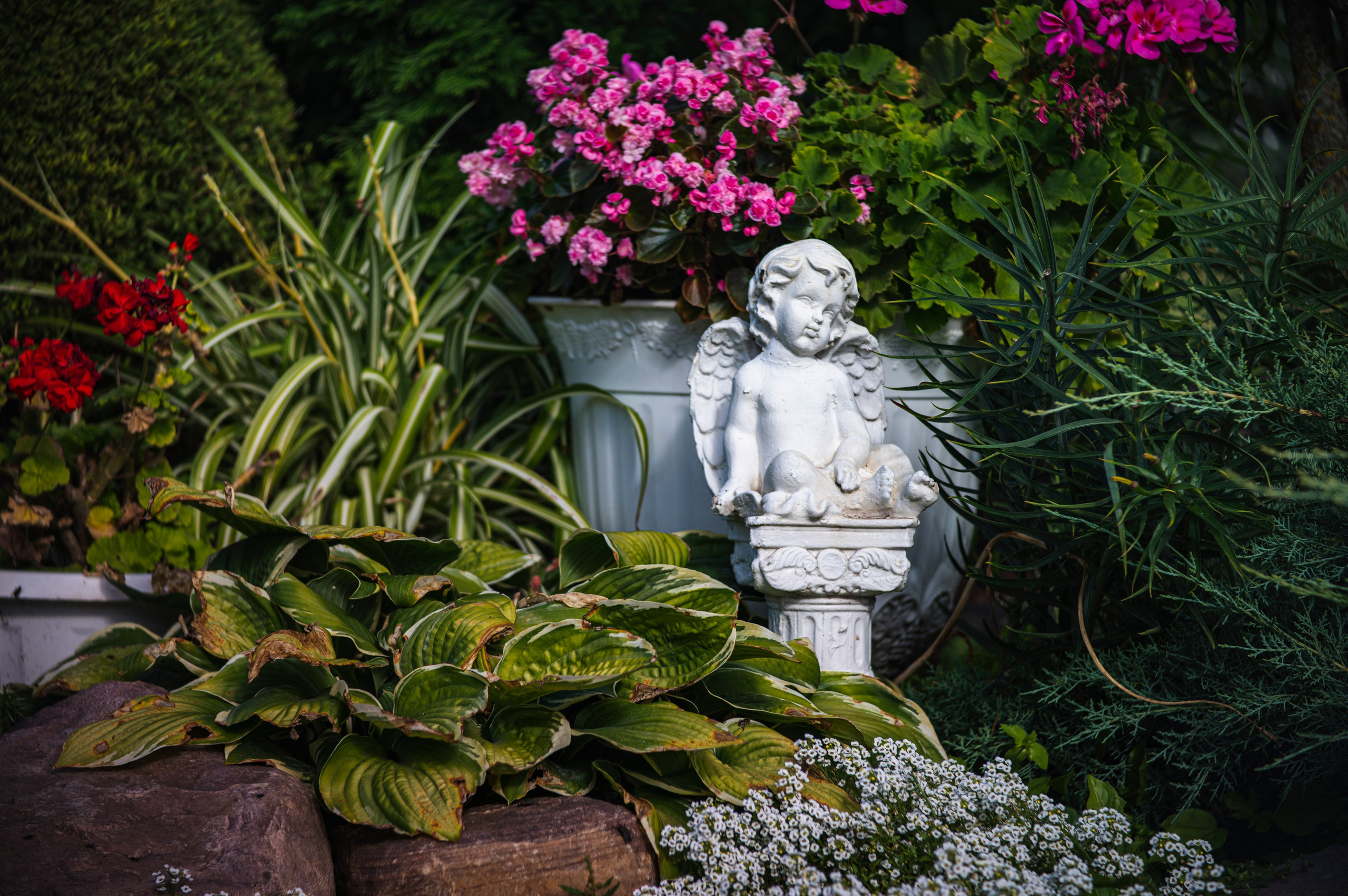 Муром. Сентябрь 2022. Фотограф Роман Адлер