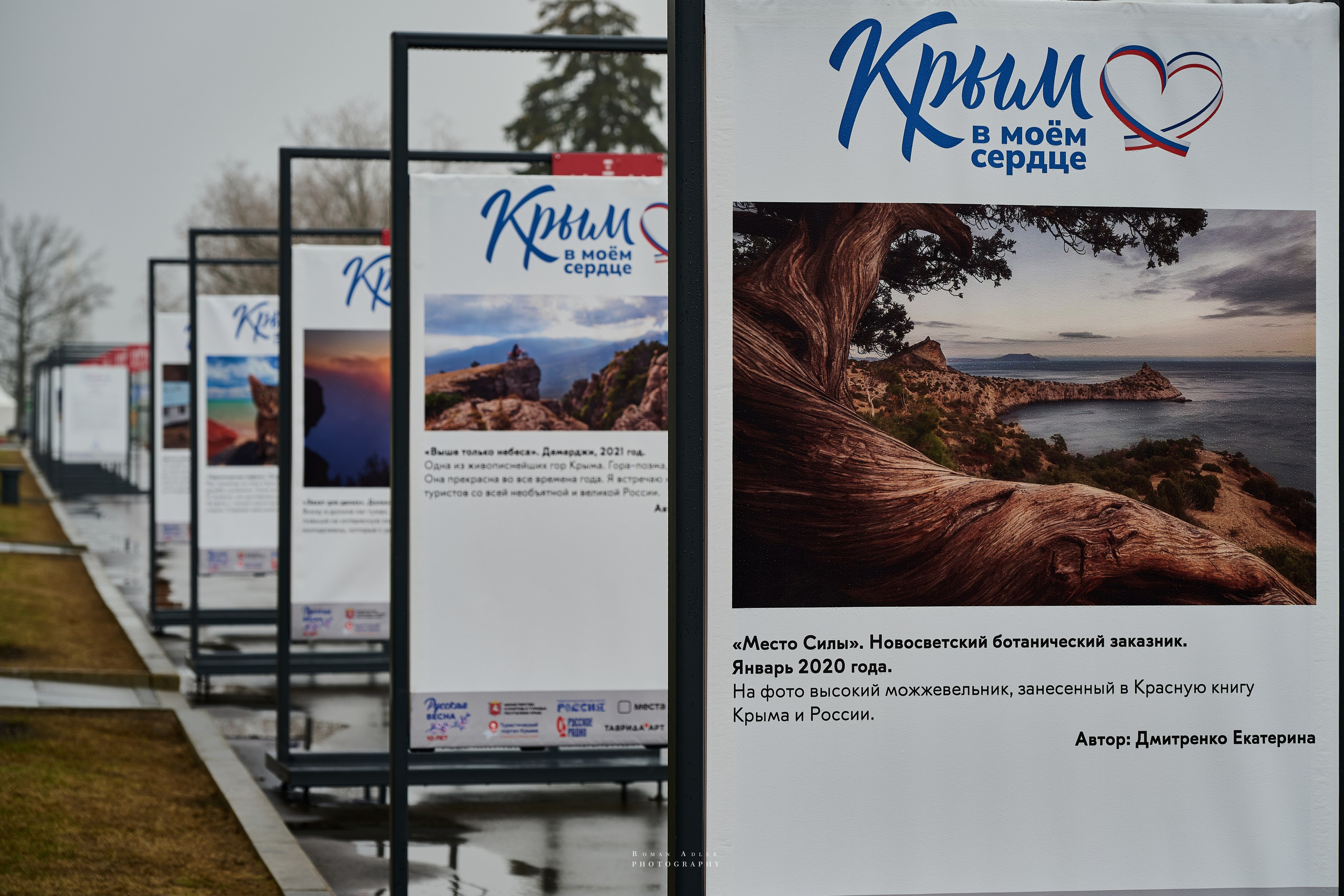 Туманное утро на ВДНХ. Фотограф Роман Адлер