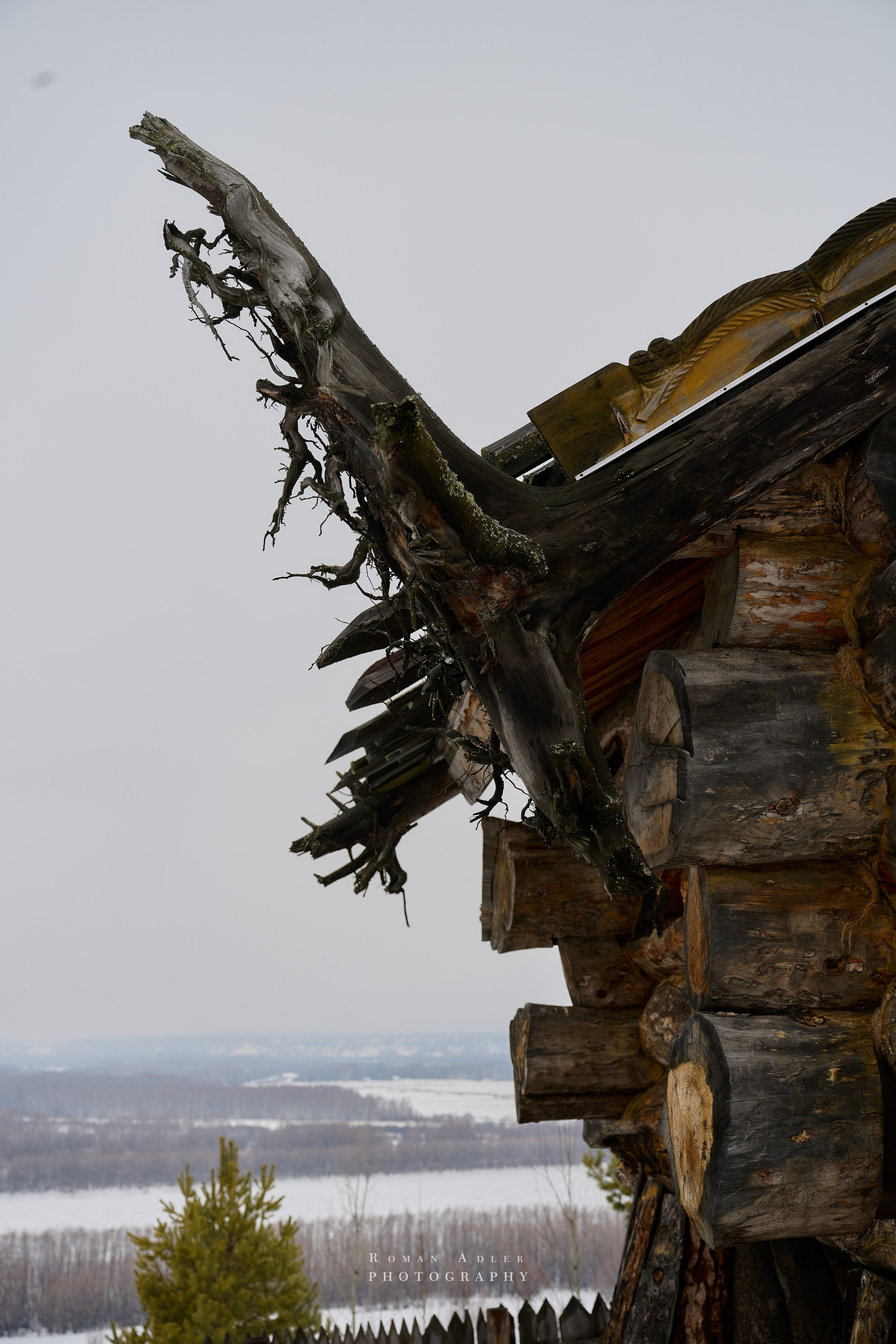 Парк-Отель Абалак. Фотограф Роман Адлер