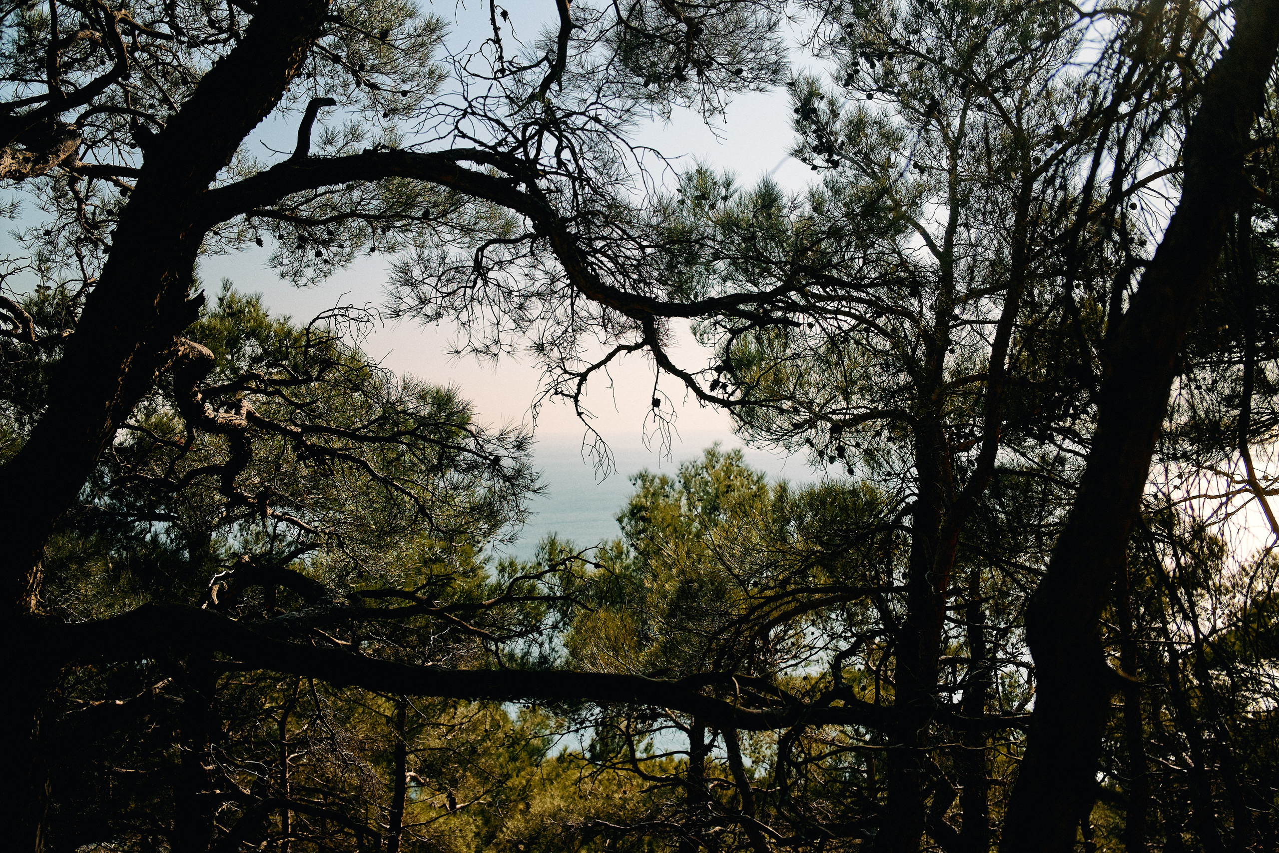 Юг России. Профессиональный Фотограф во Владимире, в Москве и в Суздале — Полина Романычева