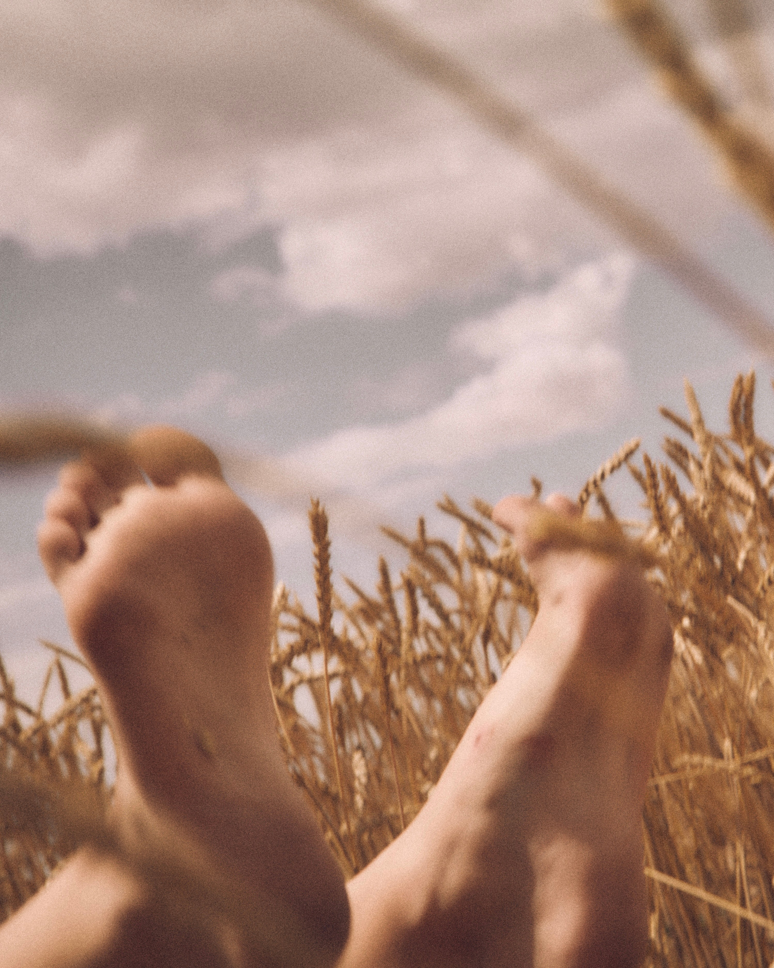 SUN. Виолетта Скрипка