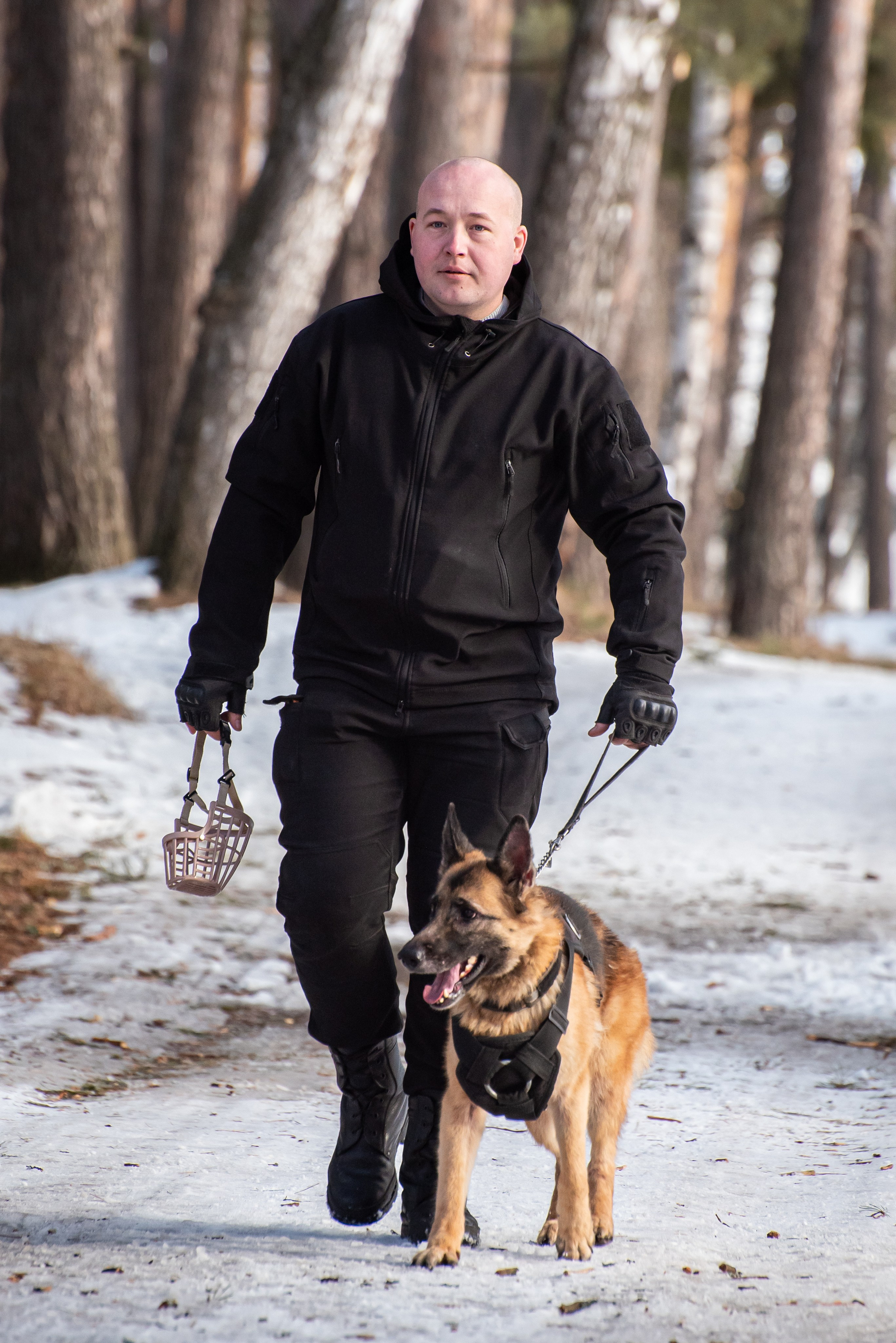 Фотосъёмка с собаками в Кинологическом лагере. Фотограф Макс Огурцов в Нижнем Новгороде