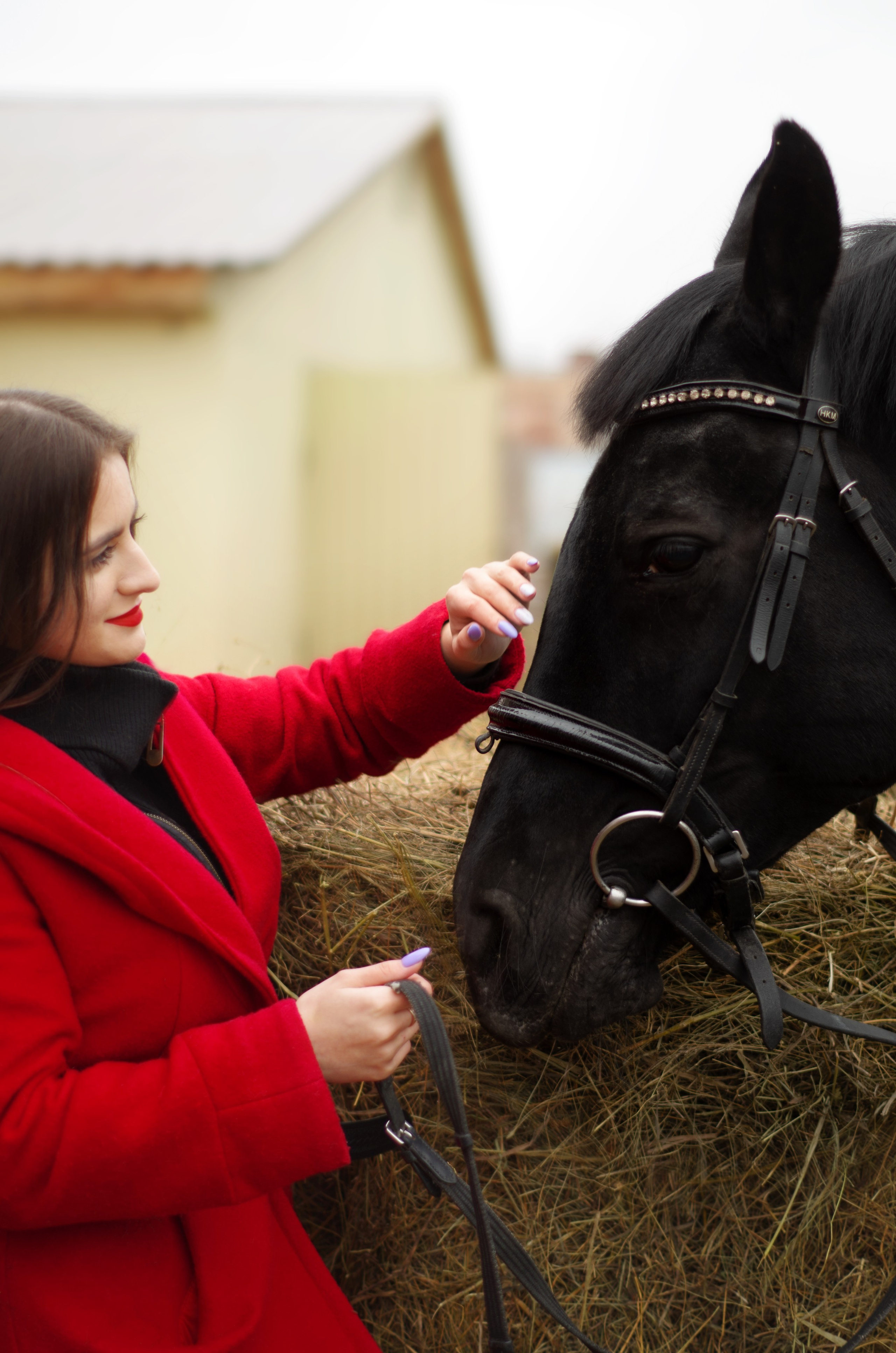 Съёмка с лошадьми: разное. Фотограф Марина Доглядная Челябинск фотосессии с лошадьми, мотоциклами