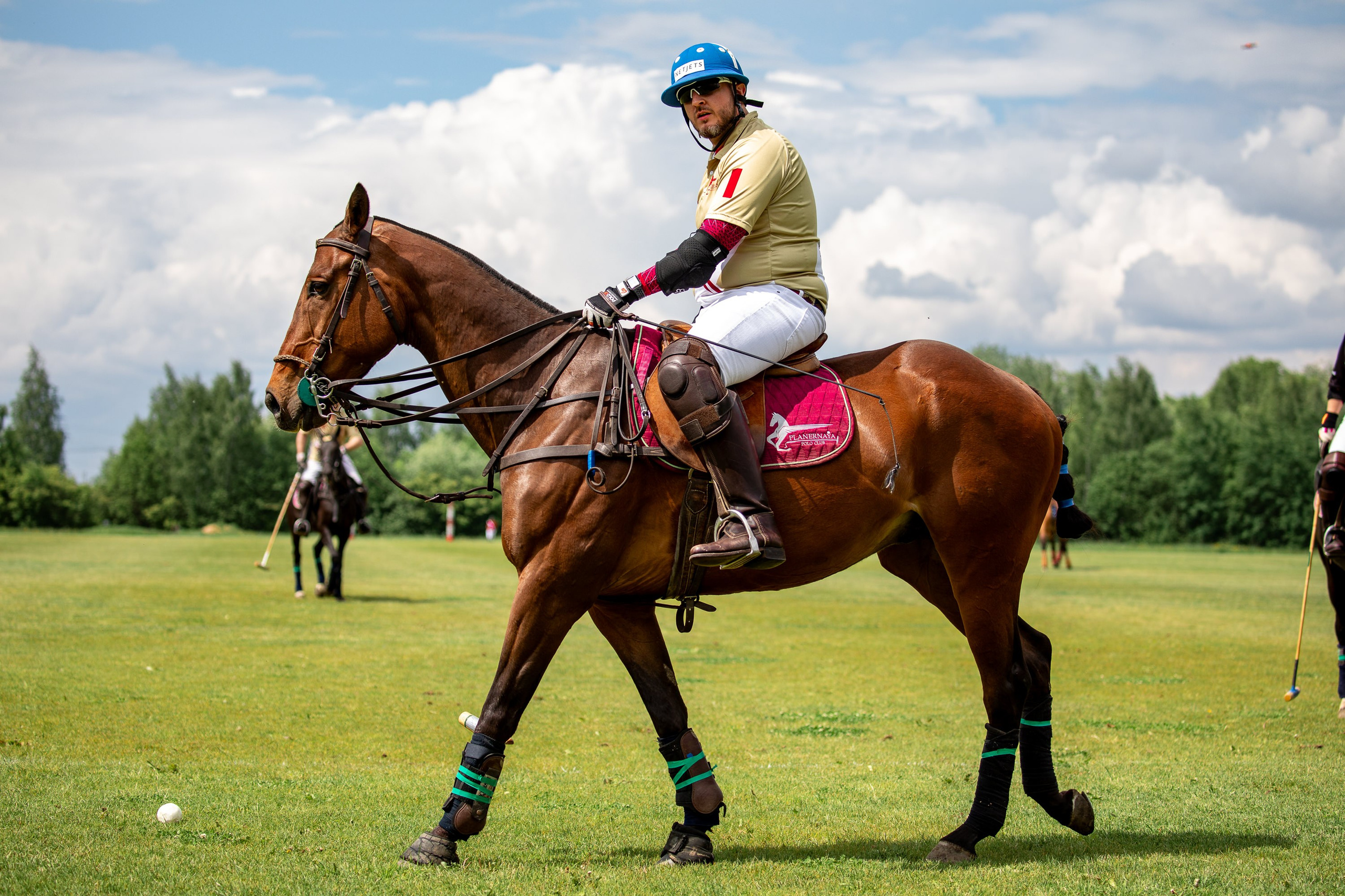 Конное поло. Mrs.Aquarelia Конный фотограф Марианна Леонтьева