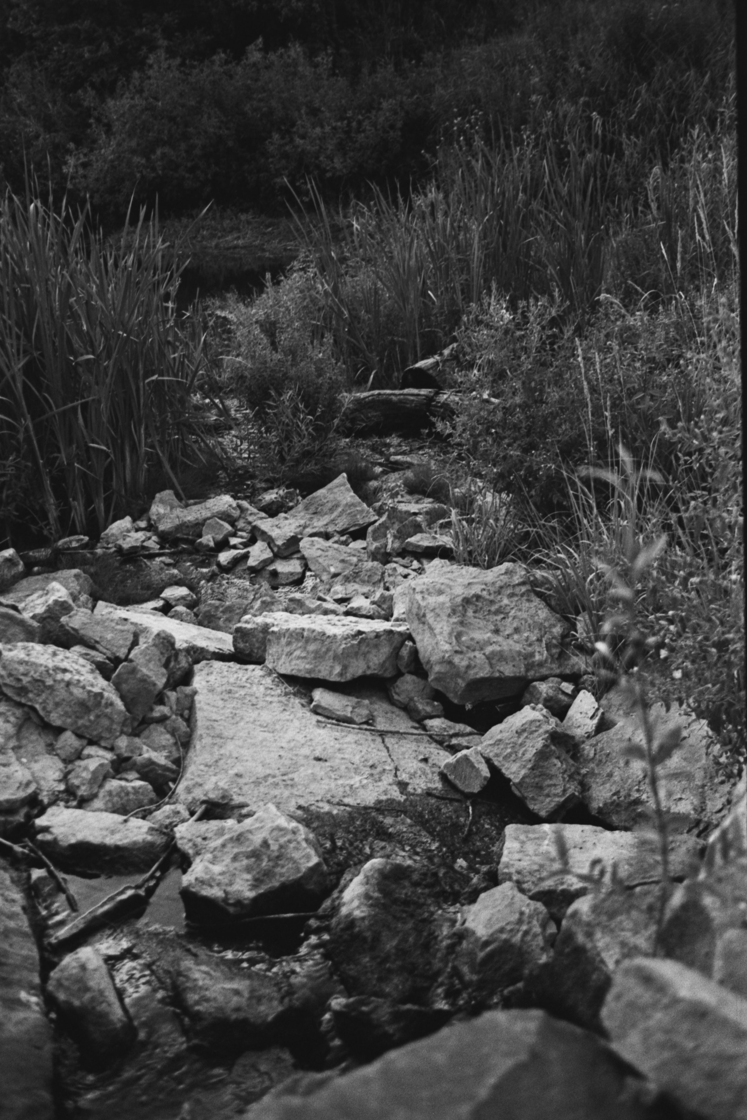 Пленочная история. Дмитрий Пропадалин, Нейрофотография