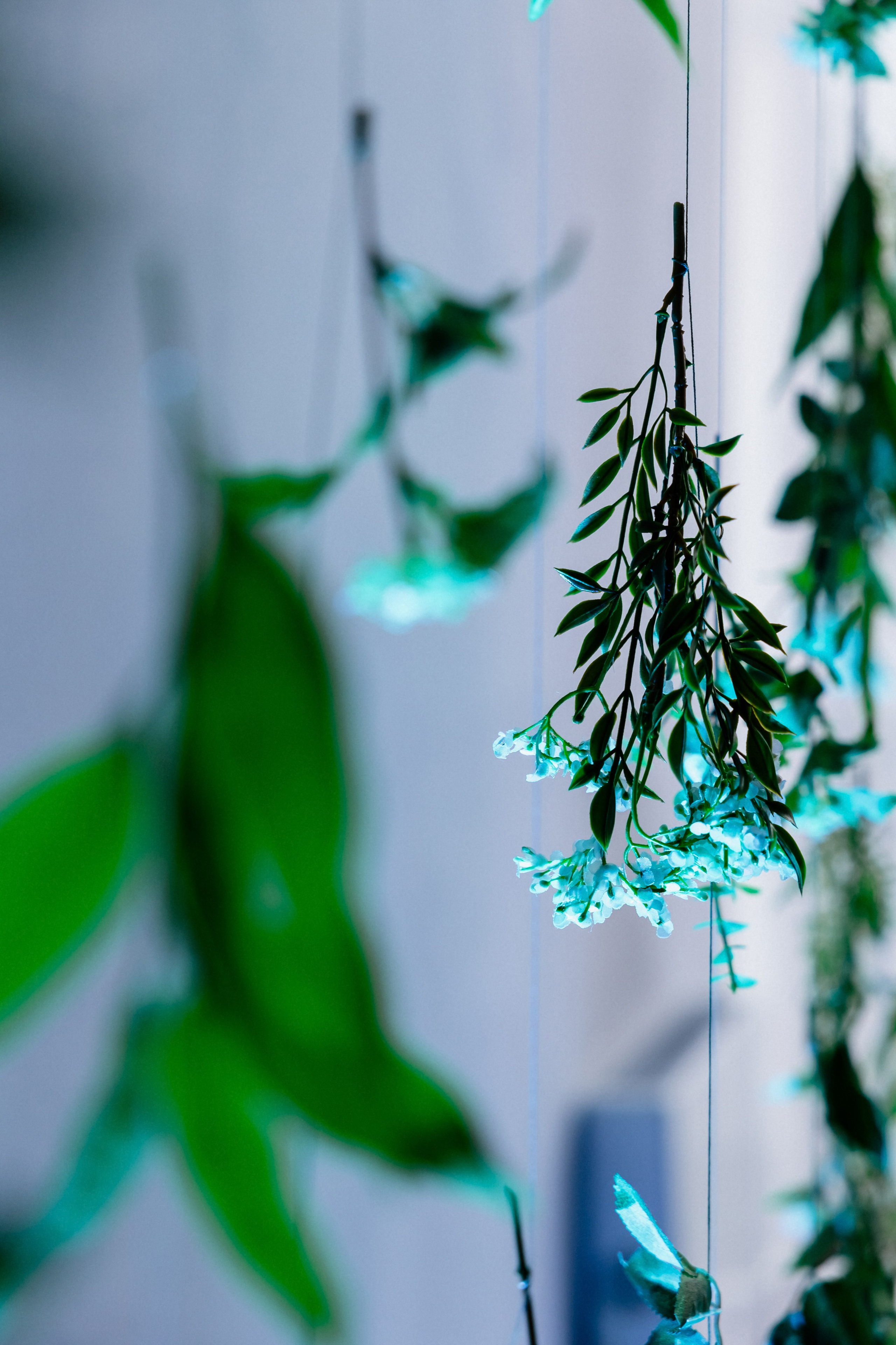 Паша и Настя. Организатор мероприятий в Абакане I Ольга Петухова