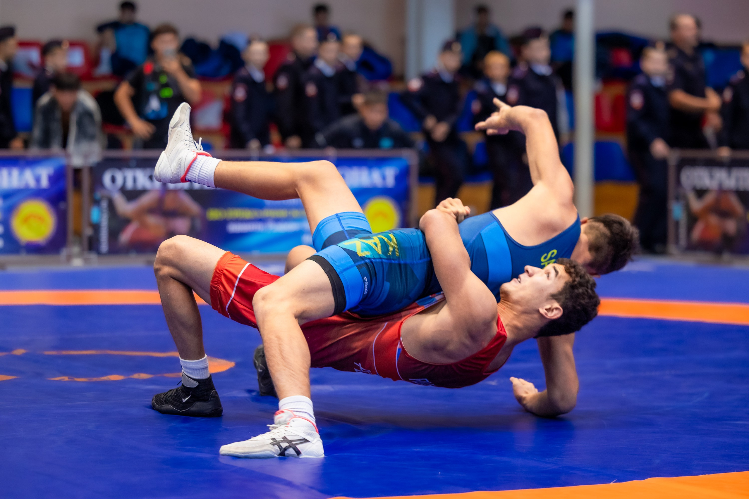 IX чемпионат Алтайского края по греко-римской борьбе. Репортажный фотограф в Барнауле Владимир Игнатов