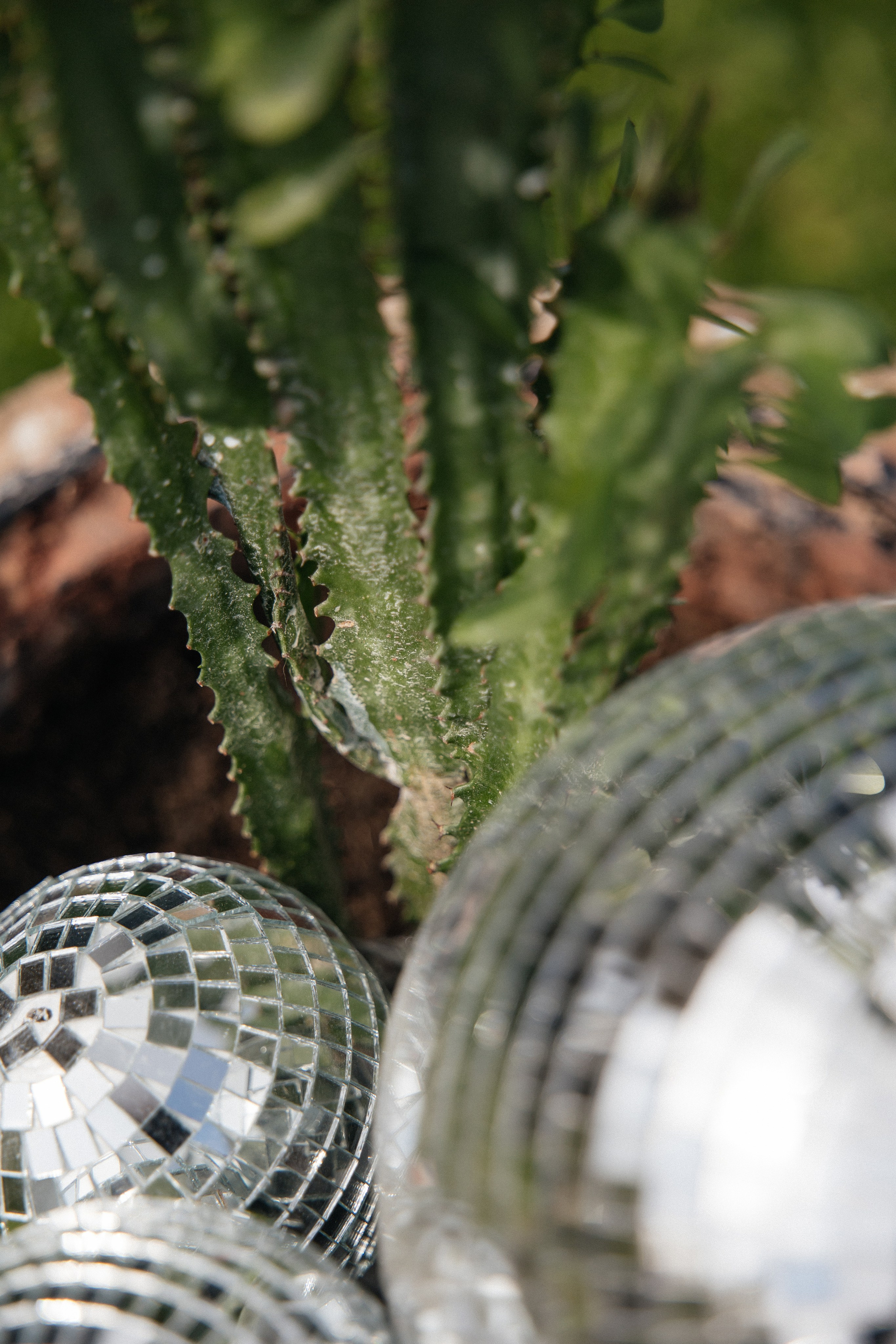 Артем и Дарья. Свадебный фотограф в Красноярске