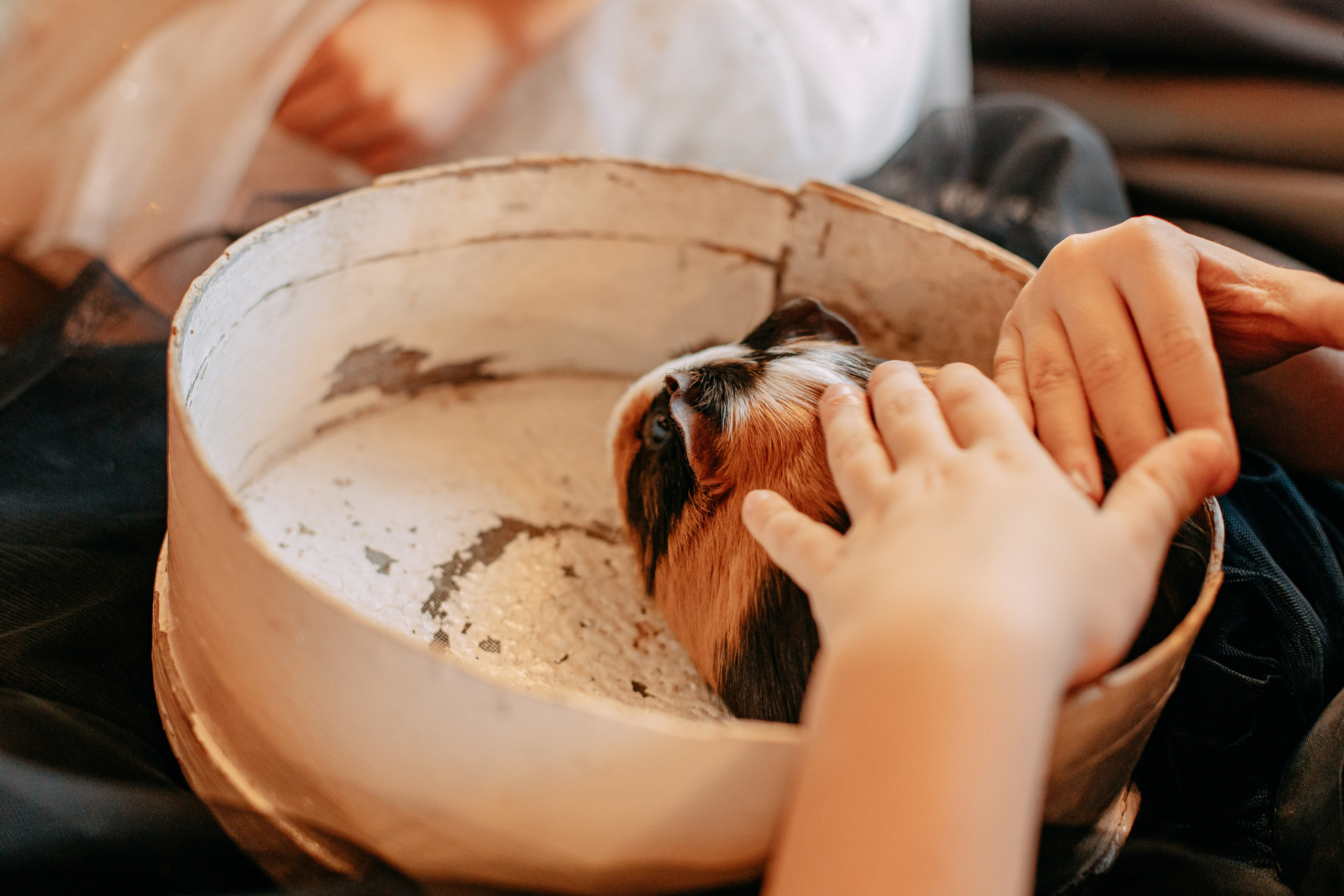 День рождения 7 лет. Фото и видео съемка. Андрей Ионов