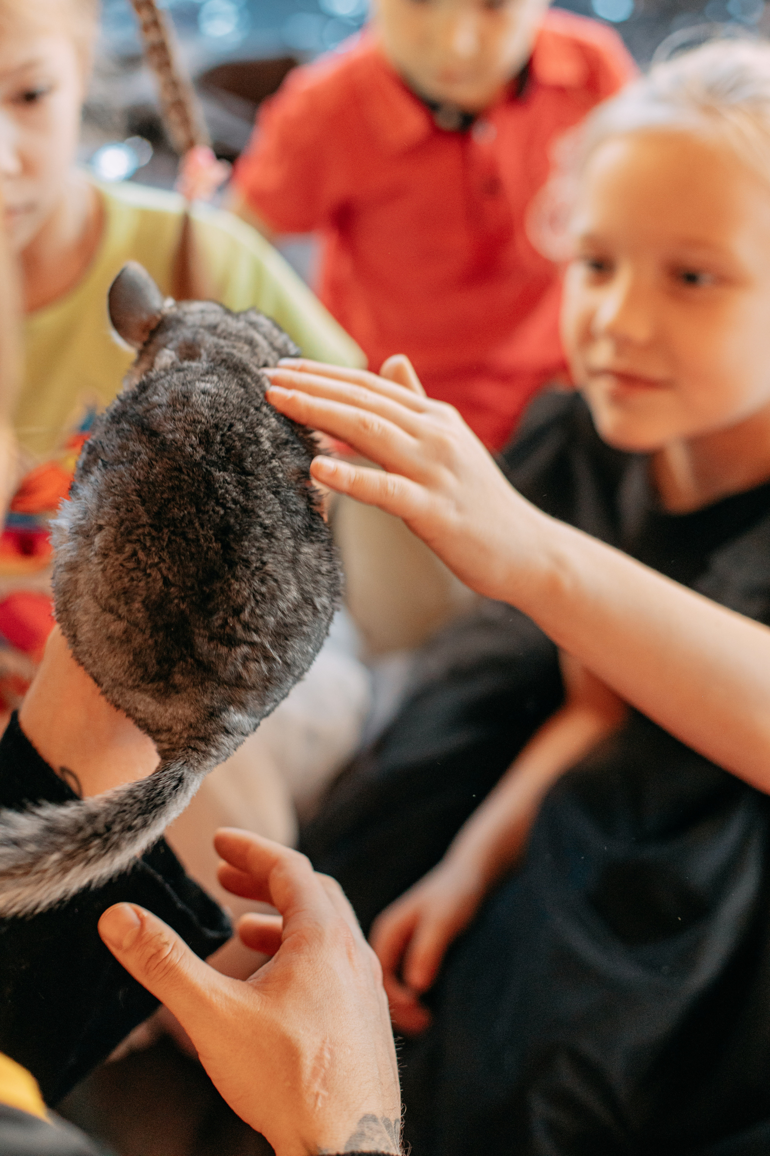 День рождения 7 лет. Фото и видео съемка. Андрей Ионов