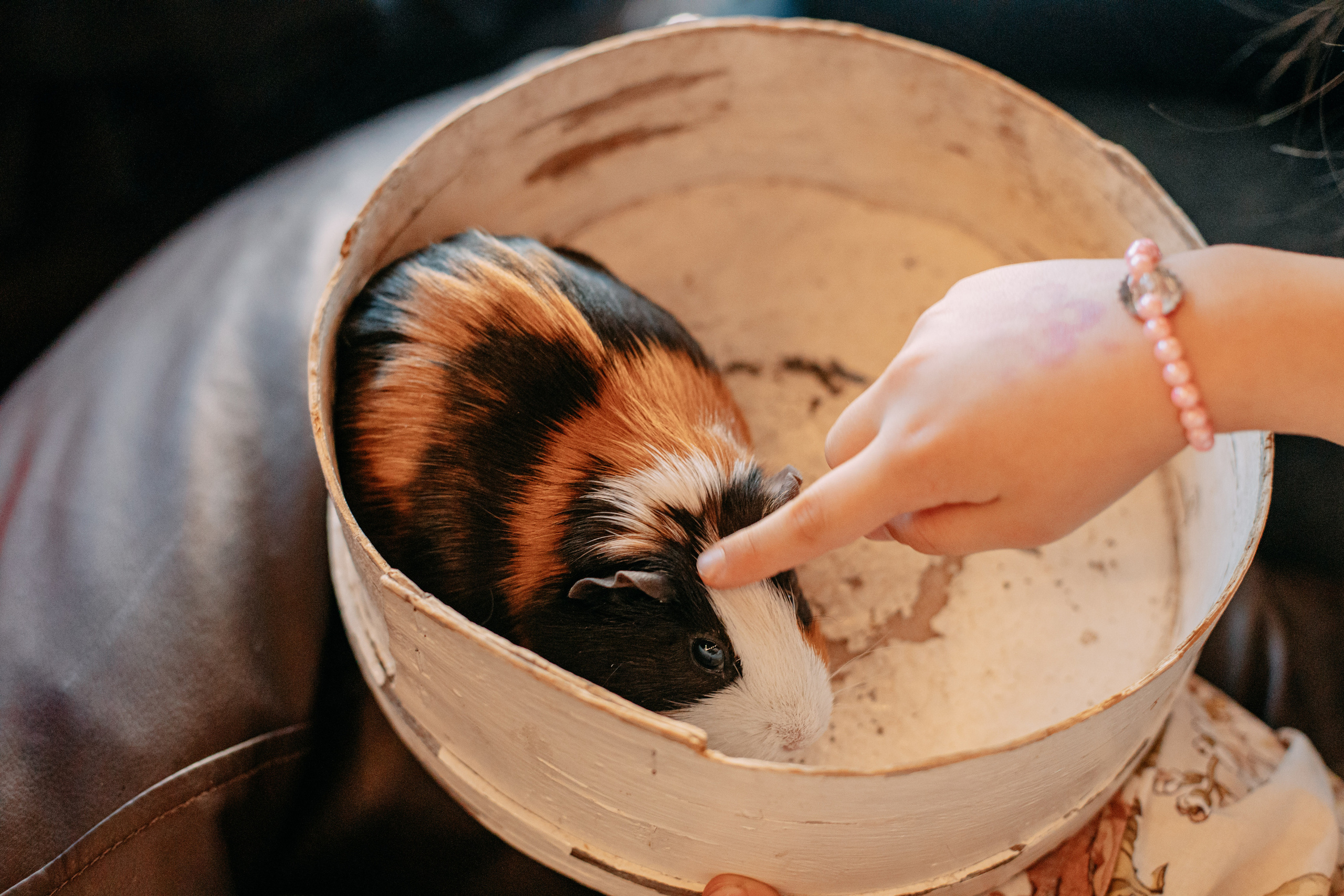 День рождения 7 лет. Фото и видео съемка. Андрей Ионов
