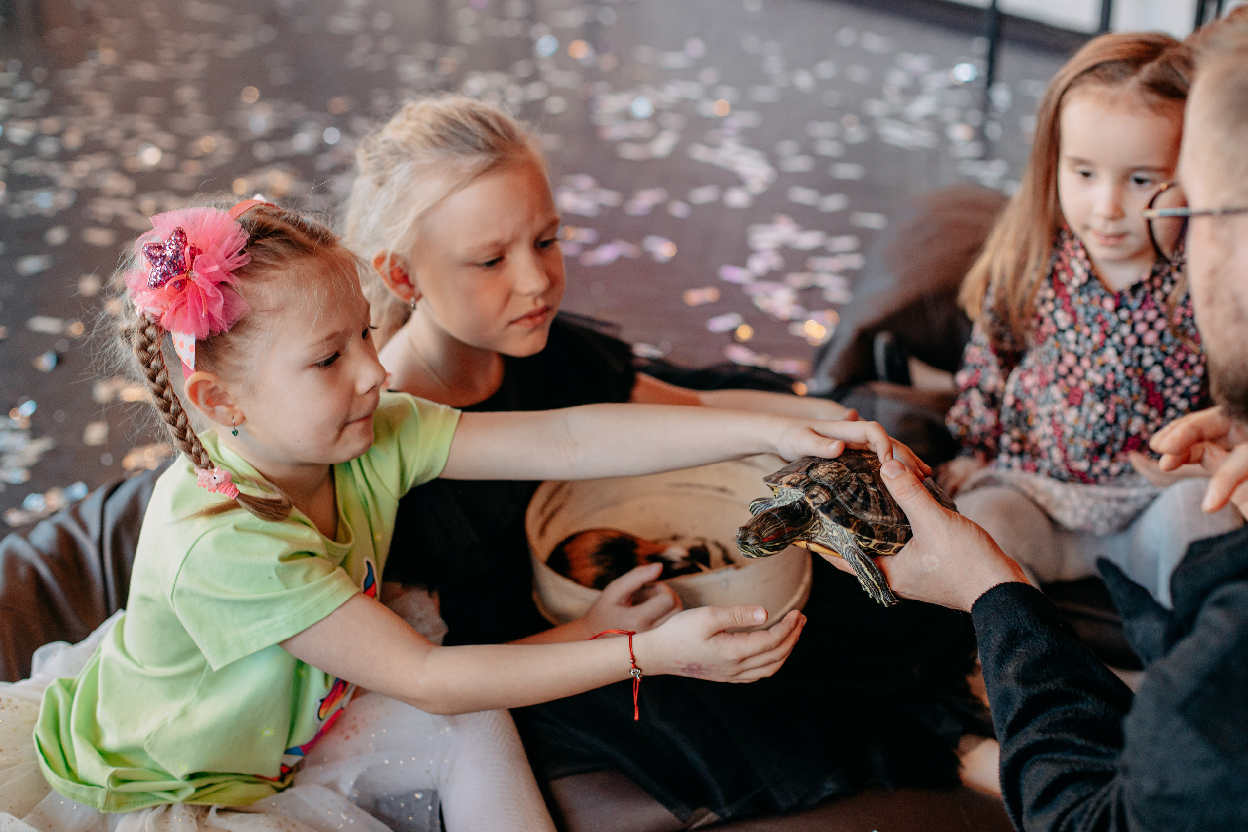 День рождения 7 лет. Фото и видео съемка. Андрей Ионов