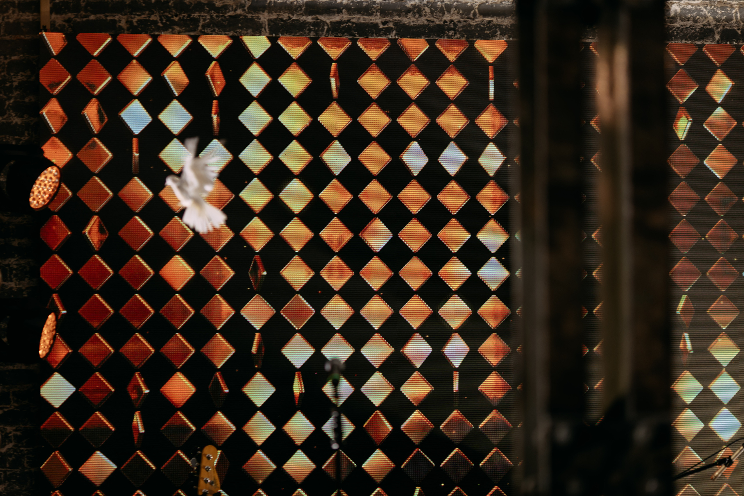 День рождения Руслана. Фото и видео съемка. Андрей Ионов