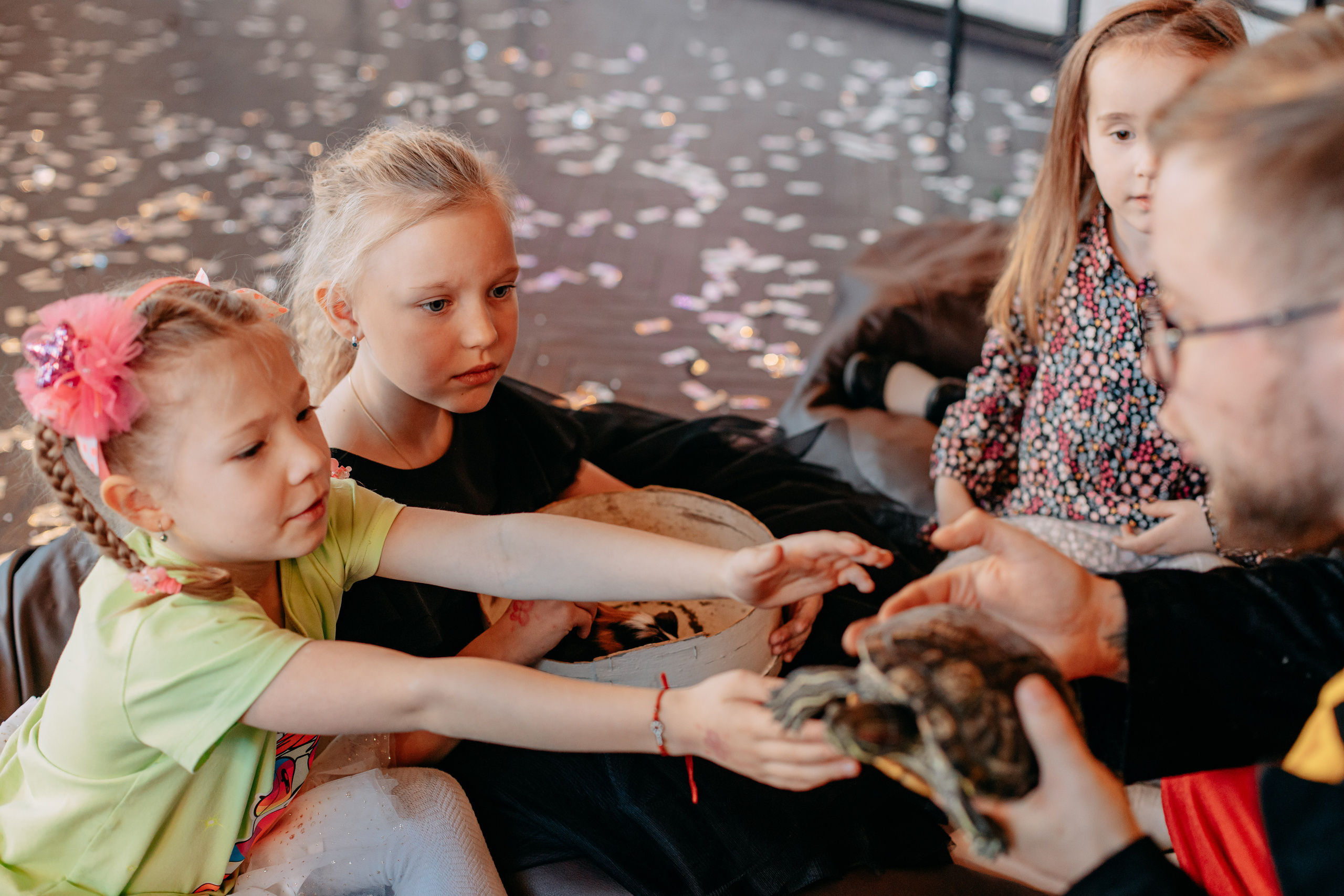 День рождения 7 лет. Фото и видео съемка. Андрей Ионов