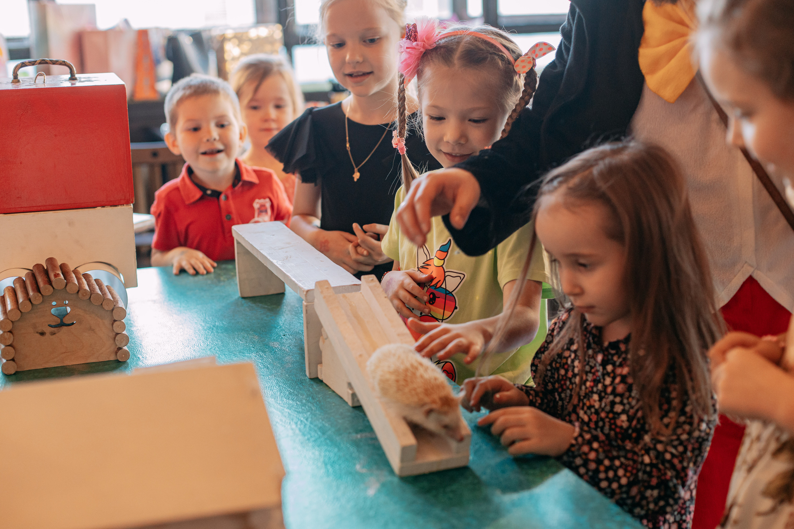 День рождения 7 лет. Фото и видео съемка. Андрей Ионов