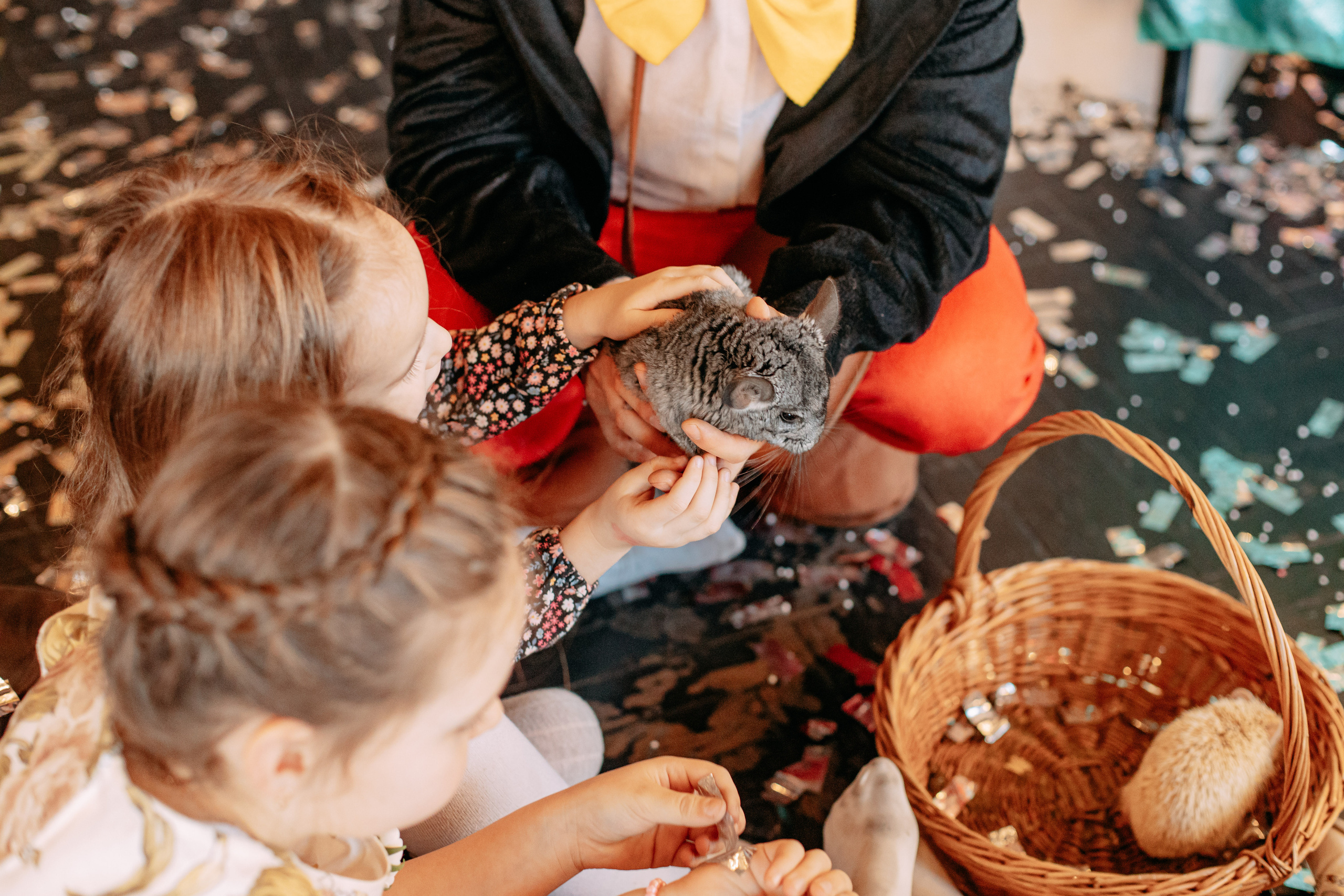 День рождения 7 лет. Фото и видео съемка. Андрей Ионов
