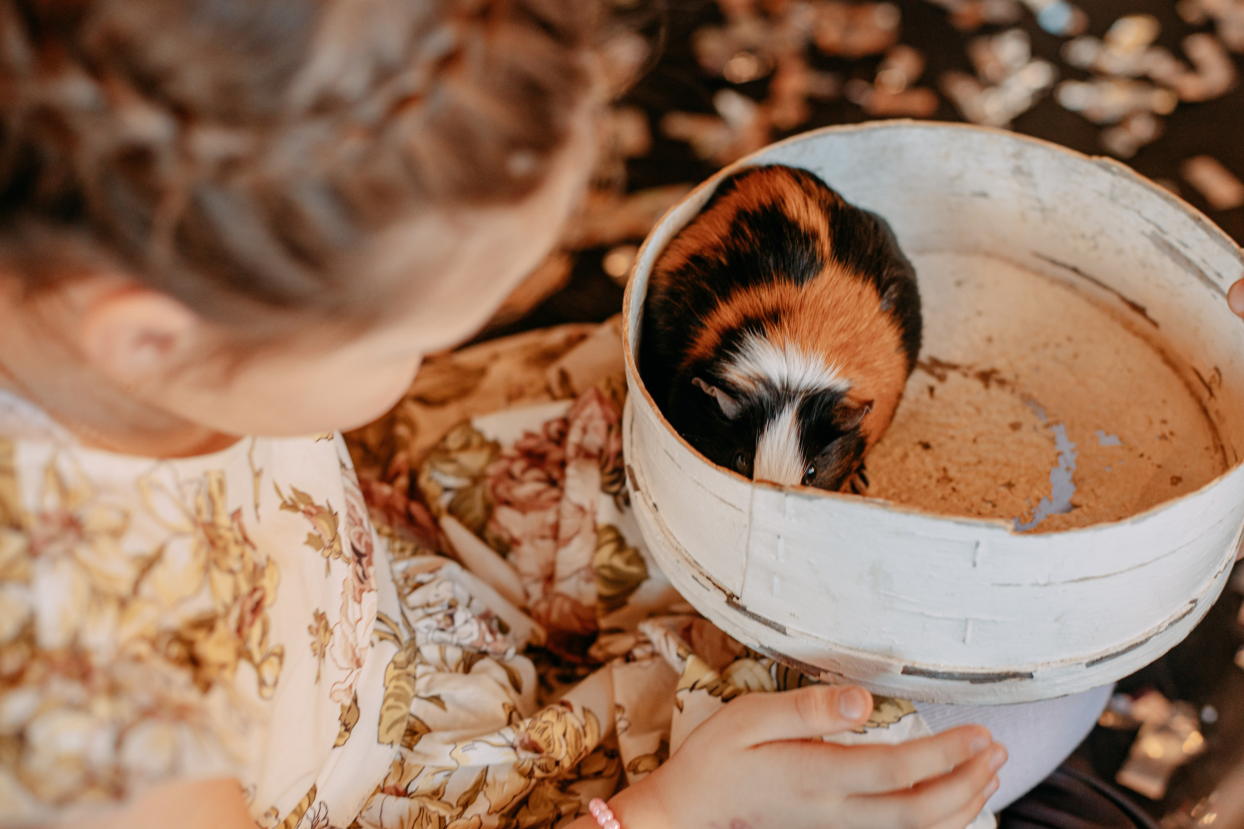 День рождения 7 лет. Фото и видео съемка. Андрей Ионов