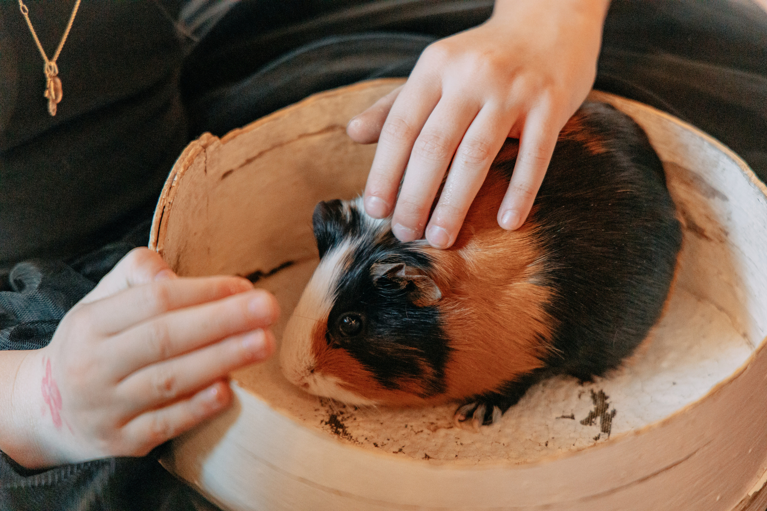 День рождения 7 лет. Фото и видео съемка. Андрей Ионов