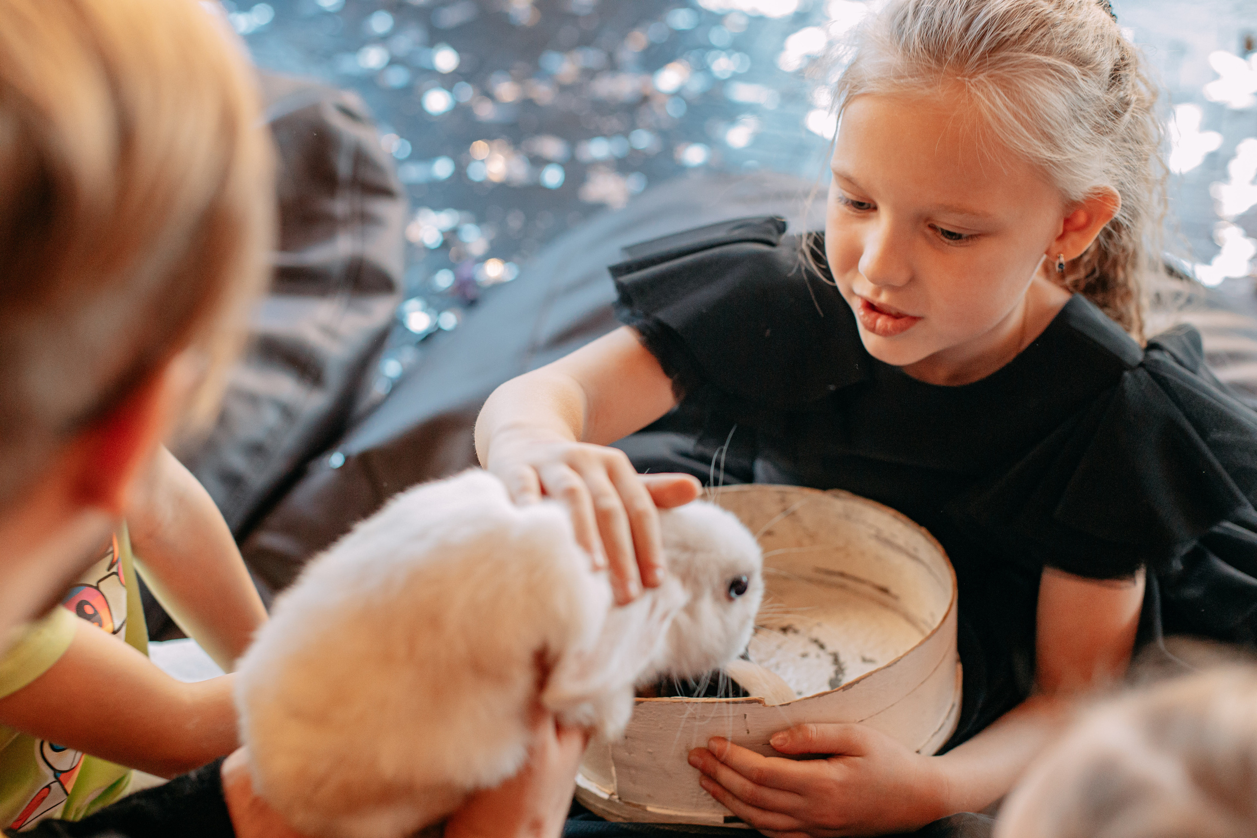 День рождения 7 лет. Фото и видео съемка. Андрей Ионов