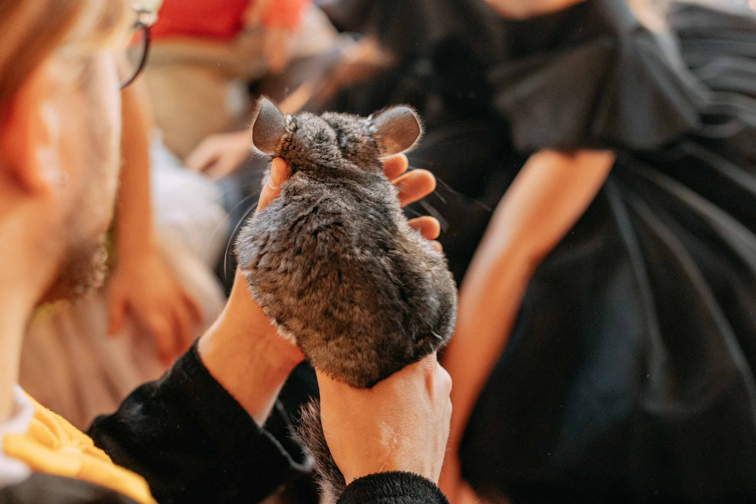 День рождения 7 лет. Фото и видео съемка. Андрей Ионов