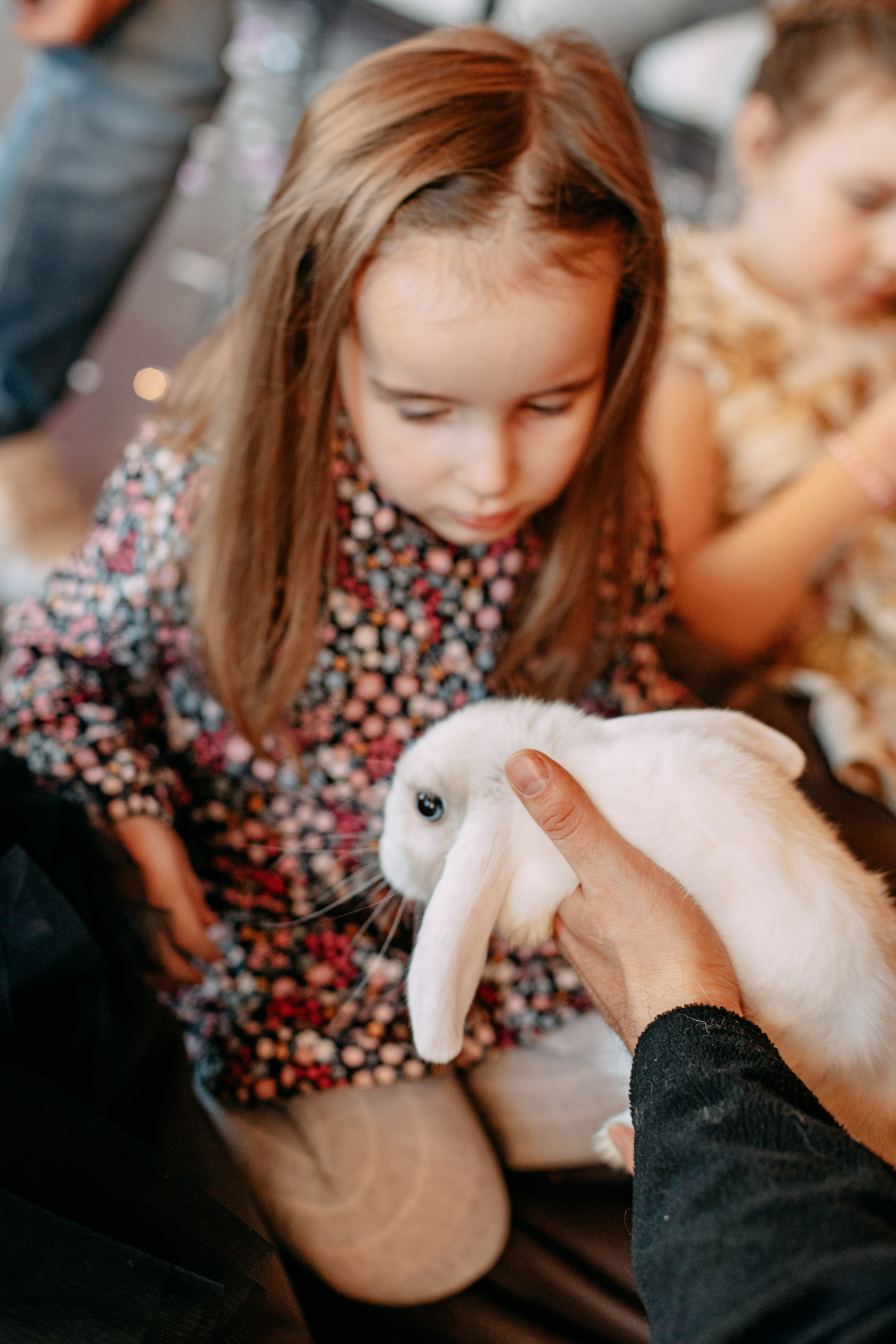 День рождения 7 лет. Фото и видео съемка. Андрей Ионов