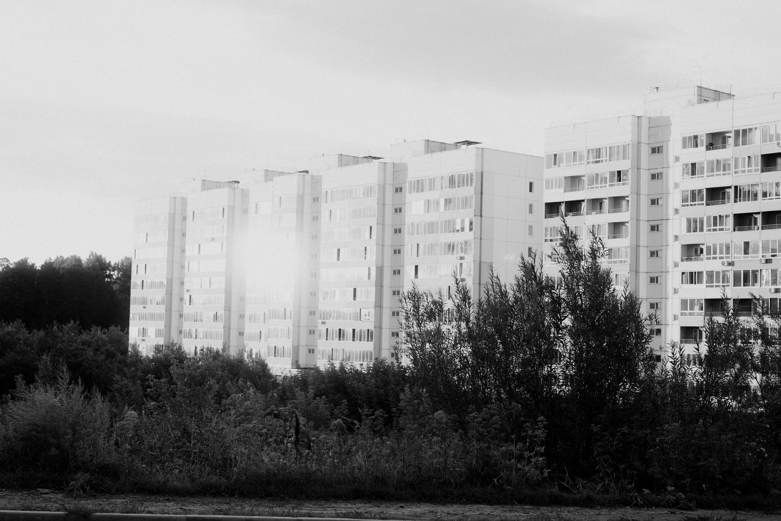 Зелёные горки. Veronika Popadeikina Photographer