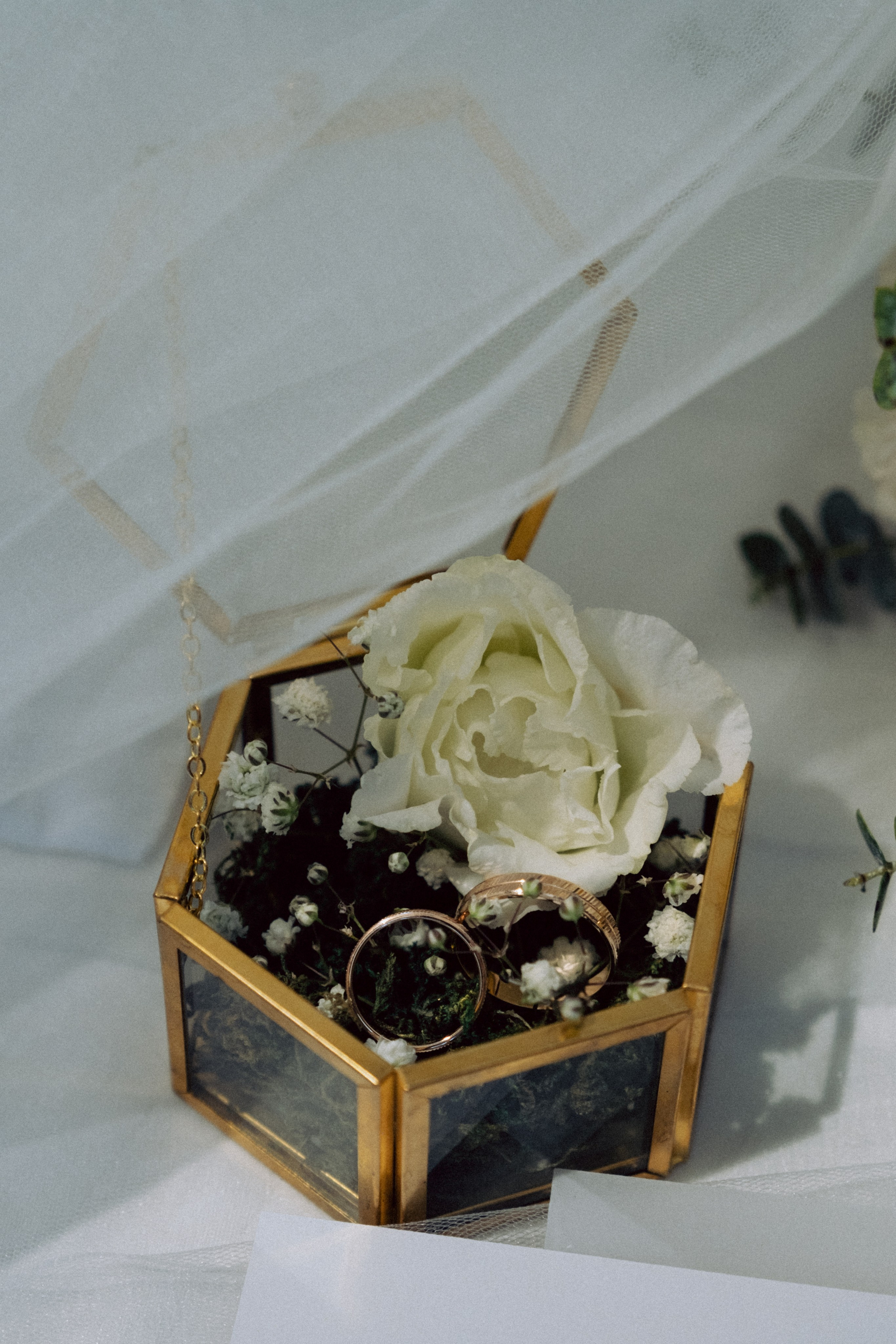 Настя + Женя. Анна Гусарова свадебный фотограф в Волгограде