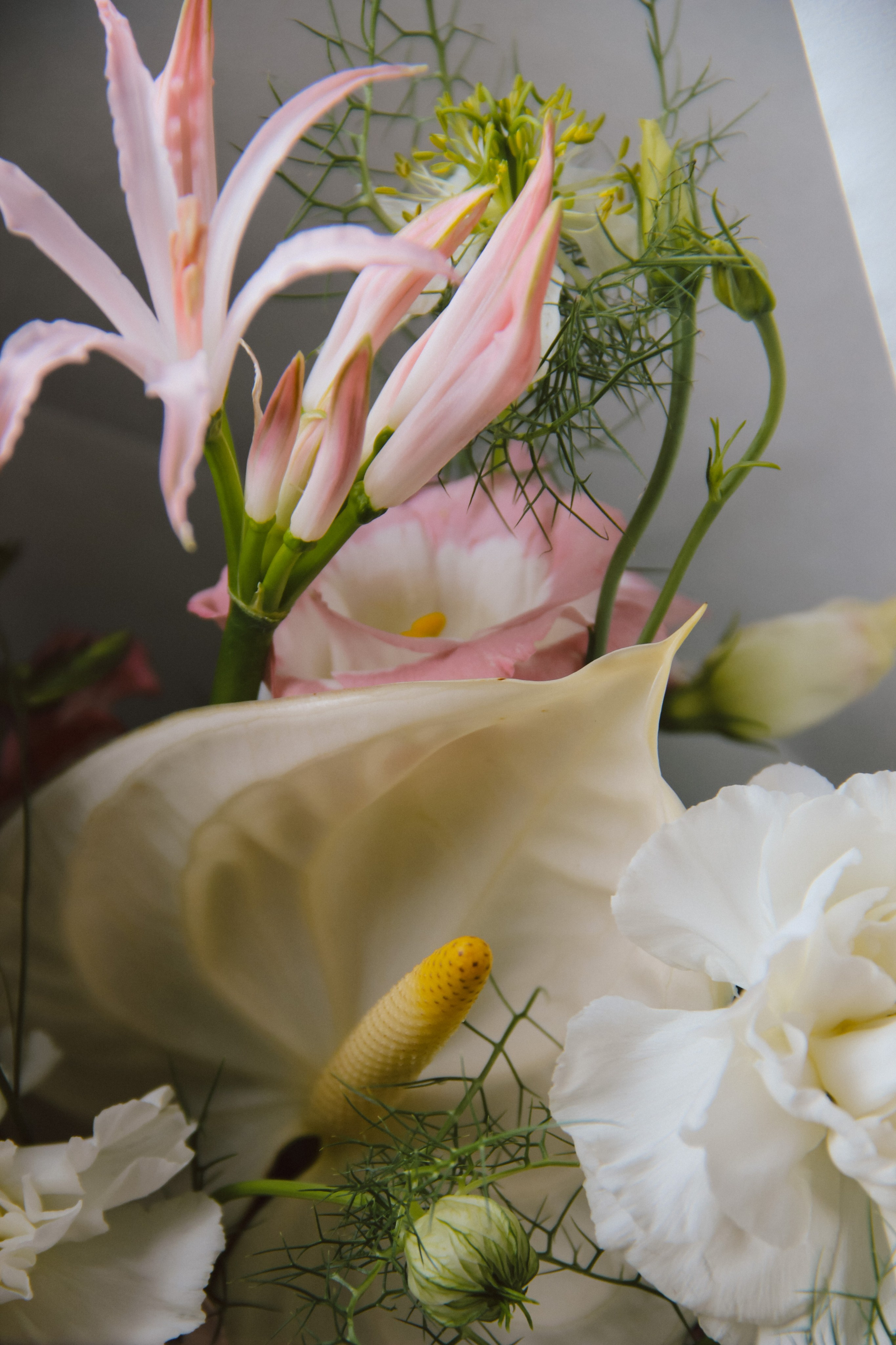 Wedding. Главная