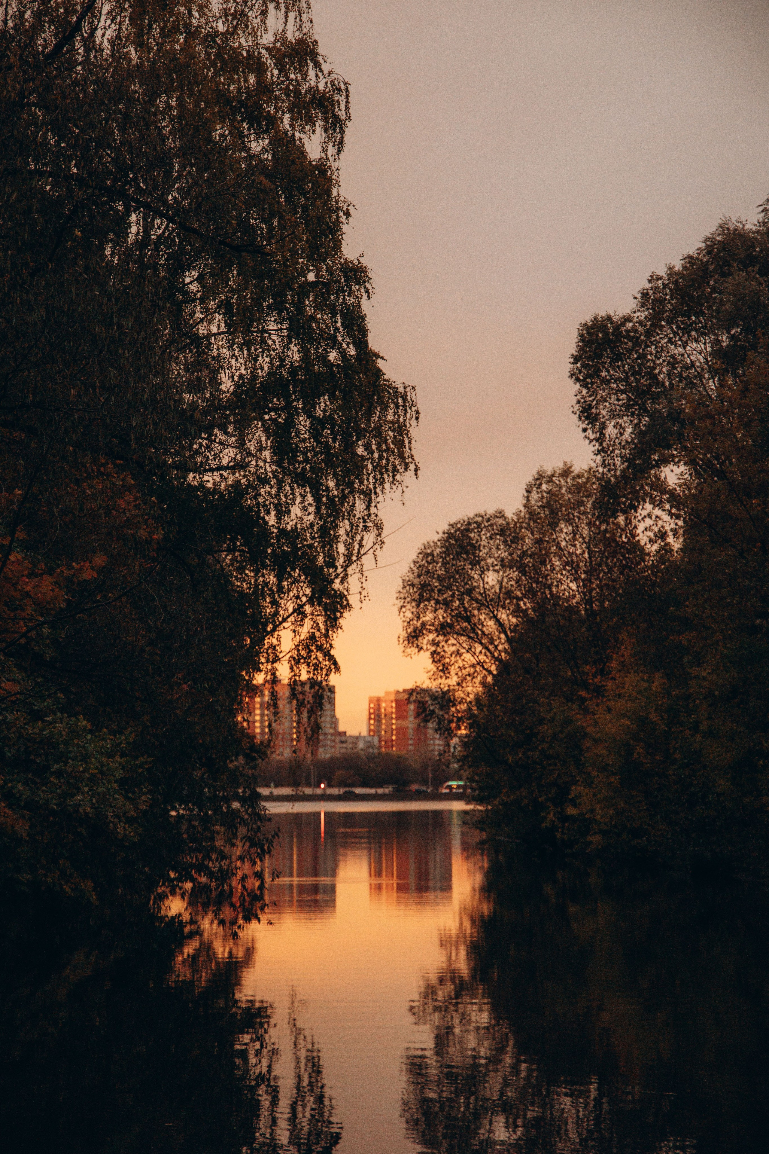 Арина и Сэмми. Фотограф — Анималист | Санкт-Петербург